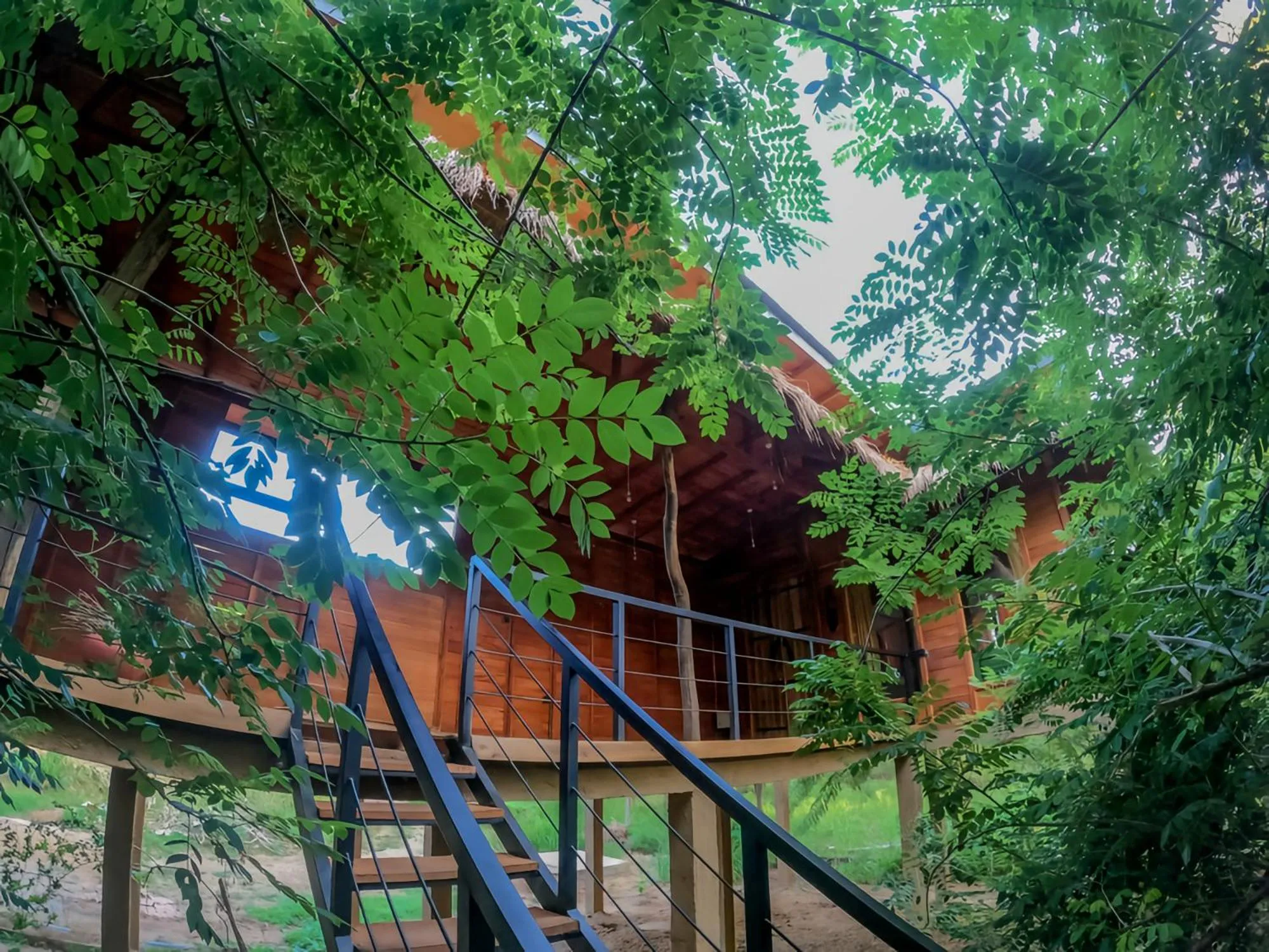 Habarana Tree House Ambasewana Resort