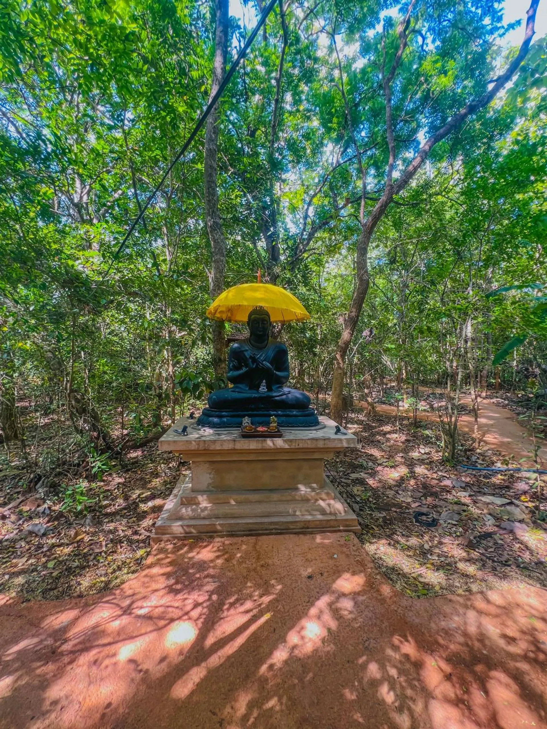 Natural landscape in Habarana Tree House Ambasewana Resort