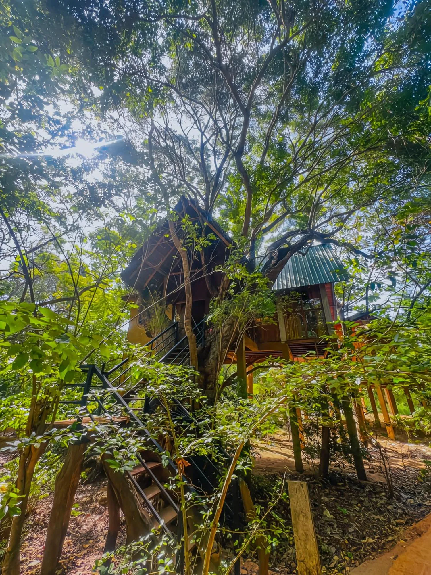 Habarana Tree House Ambasewana Resort
