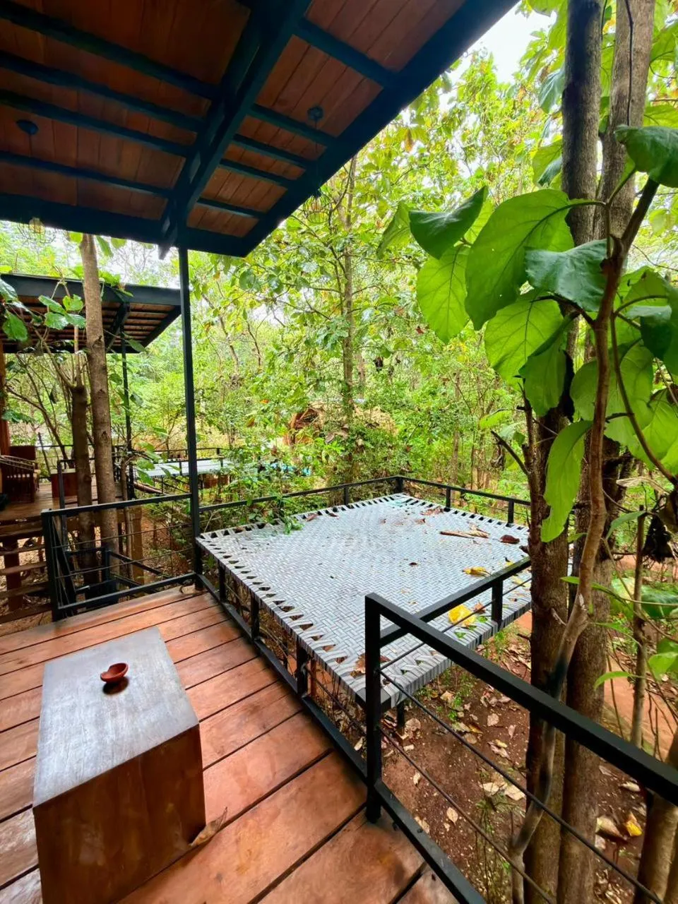 Balcony/Terrace in Habarana Tree House Ambasewana Resort