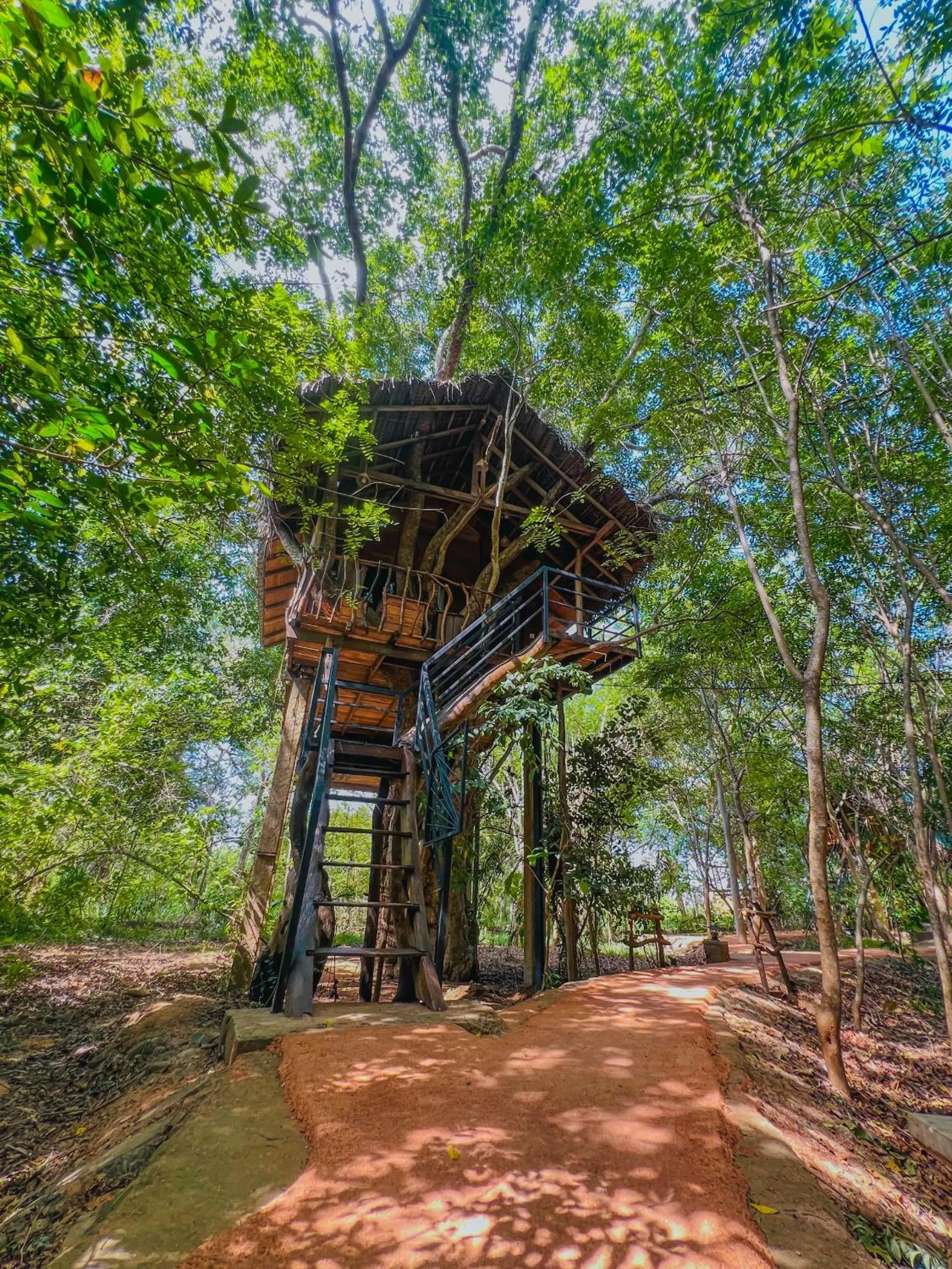 Natural landscape in Habarana Tree House Ambasewana Resort