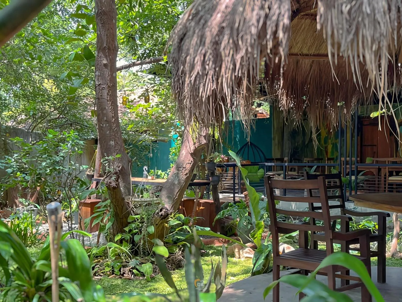 Natural landscape in Habarana Tree House Ambasewana Resort