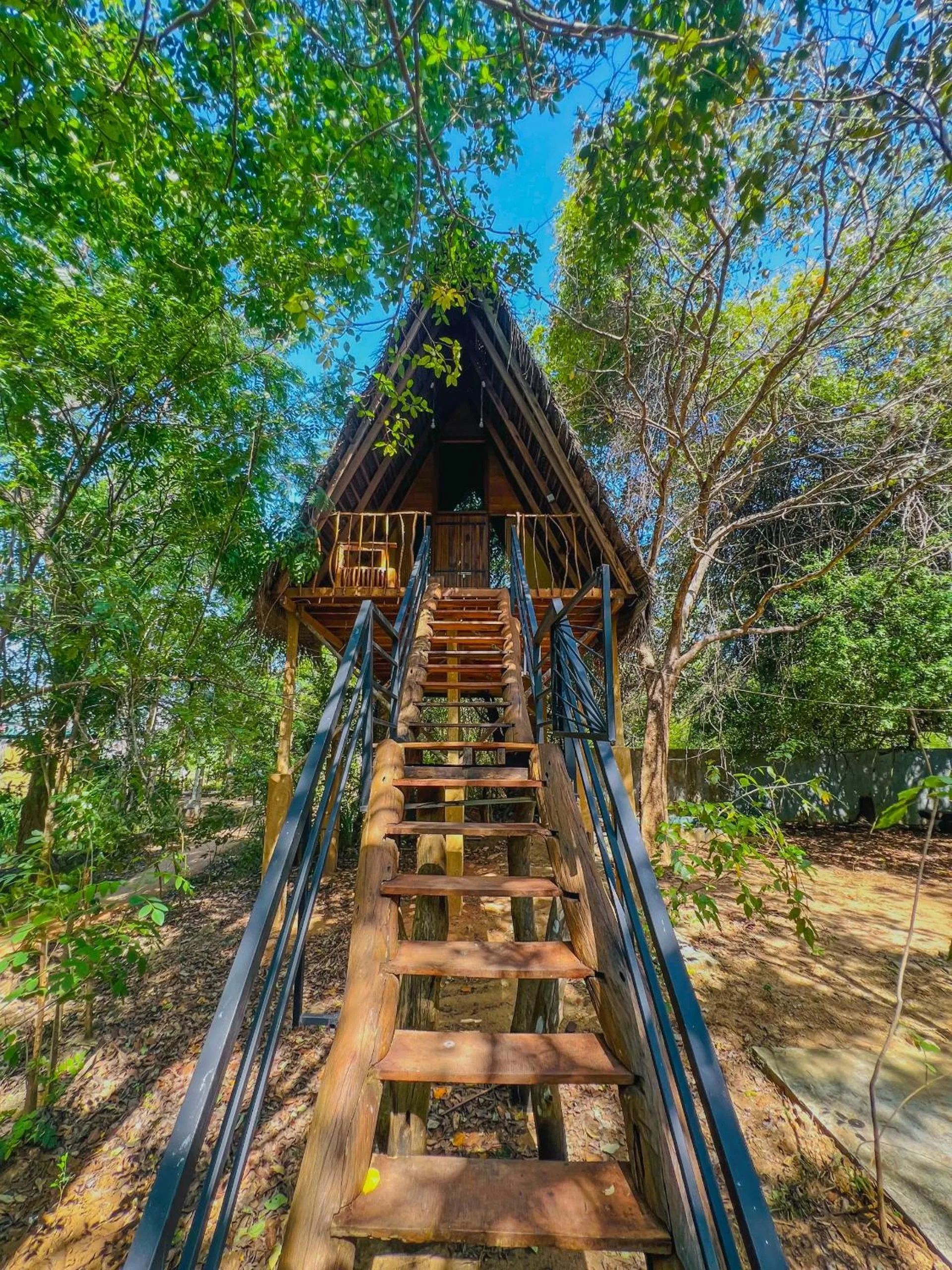 Property building in Habarana Tree House Ambasewana Resort
