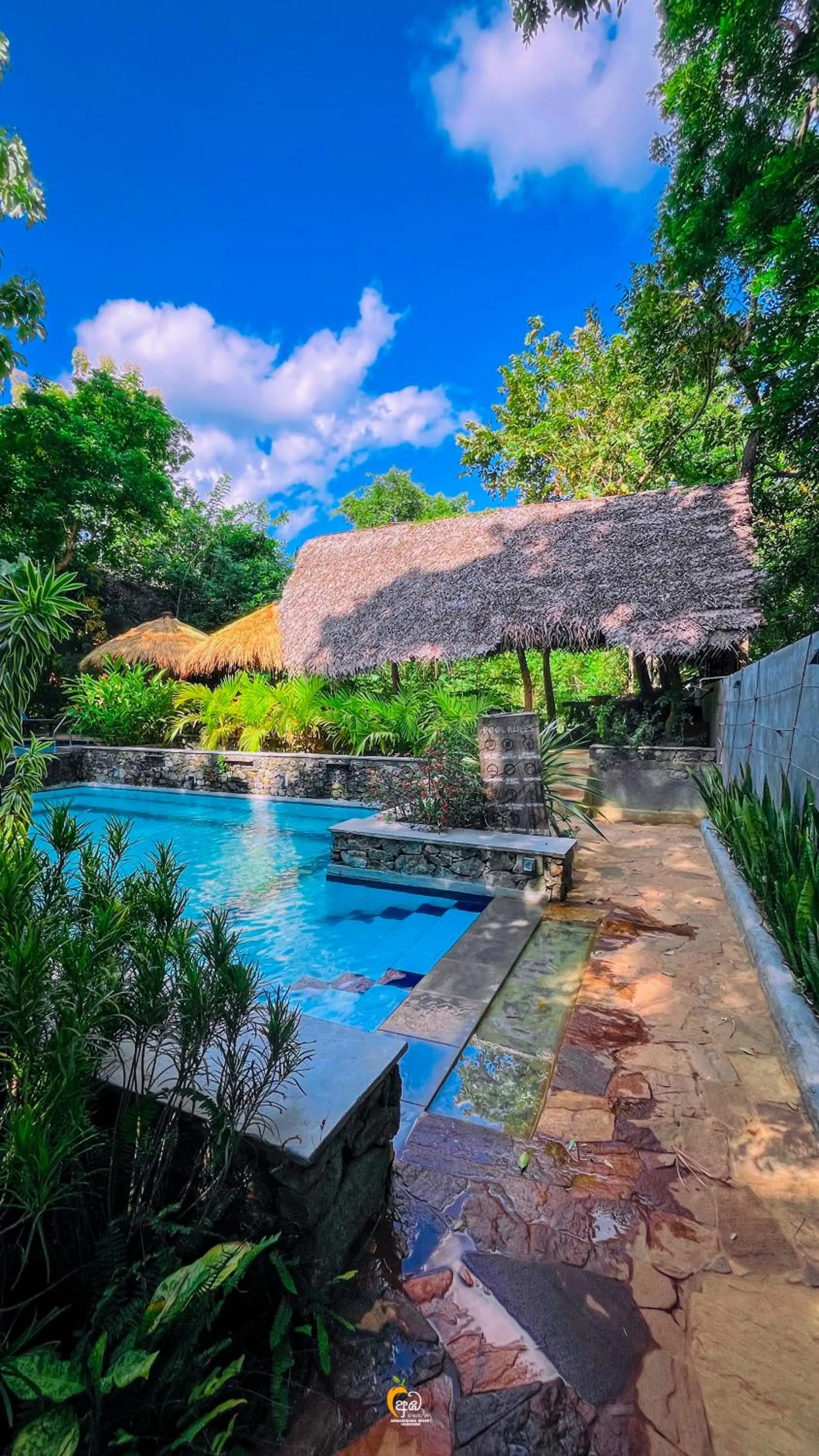 Pool view in Habarana Tree House Ambasewana Resort