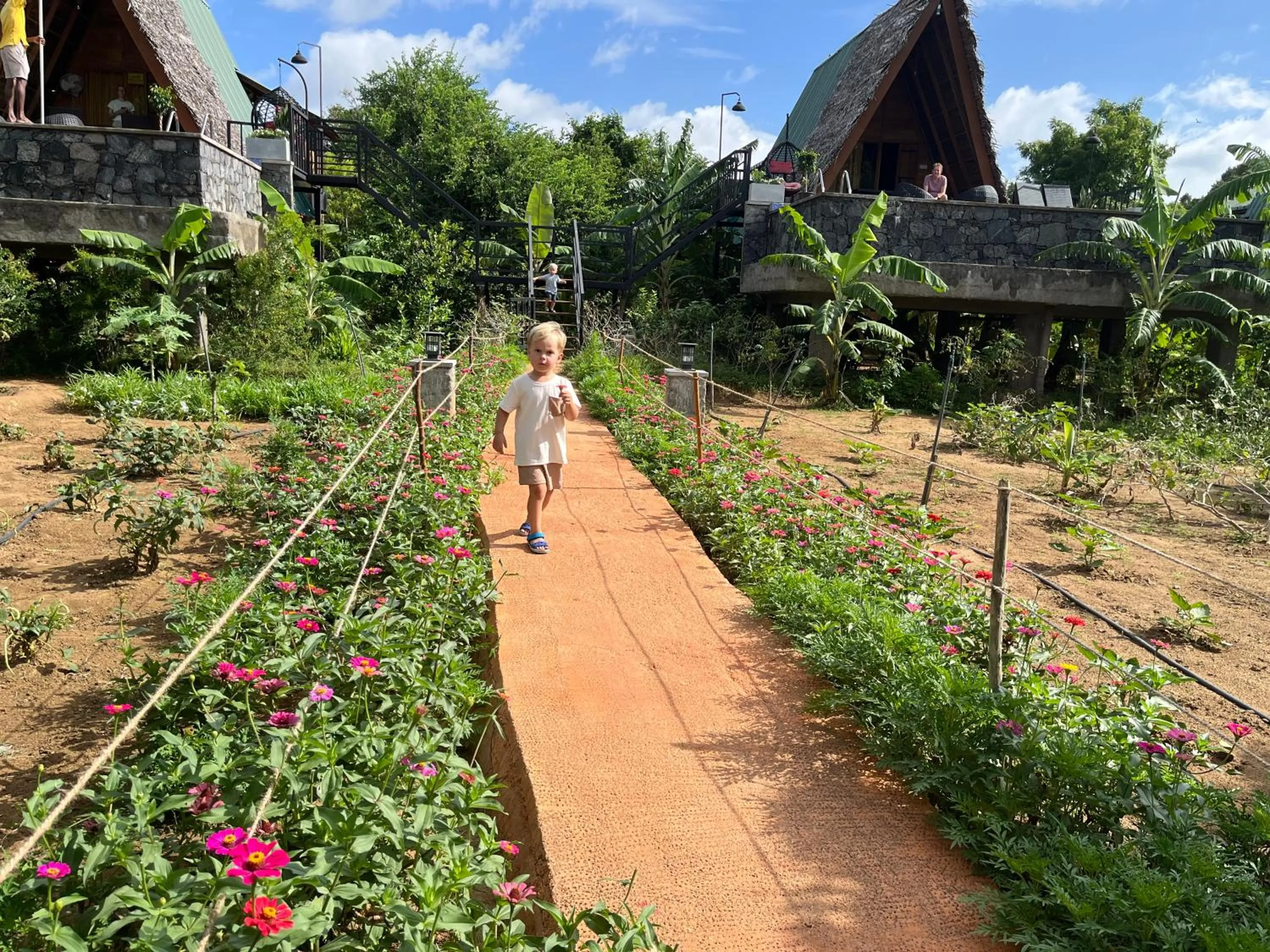 Habarana Tree House Ambasewana Resort