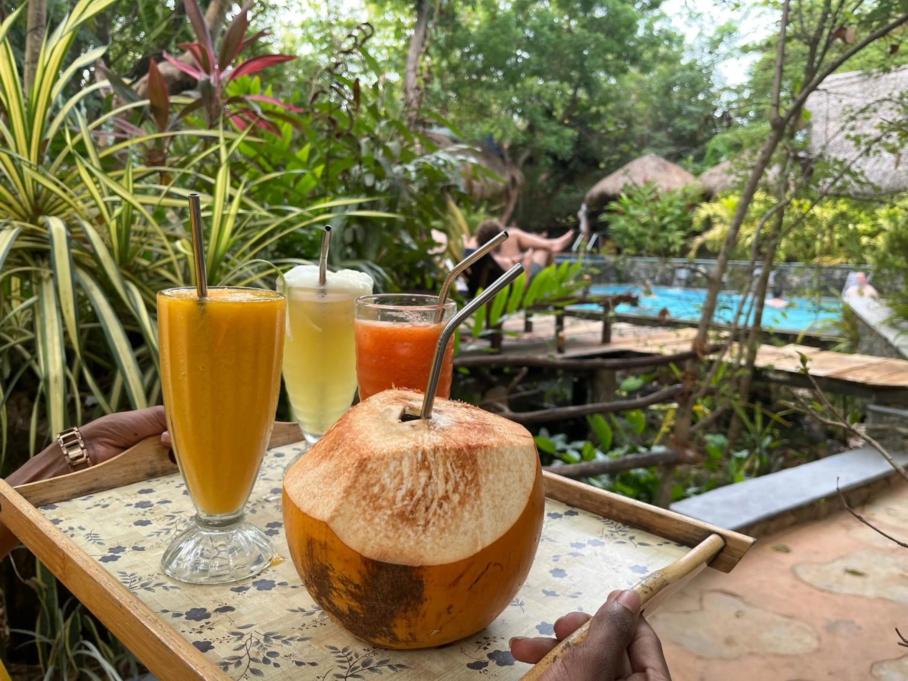 Habarana Tree House Ambasewana Resort