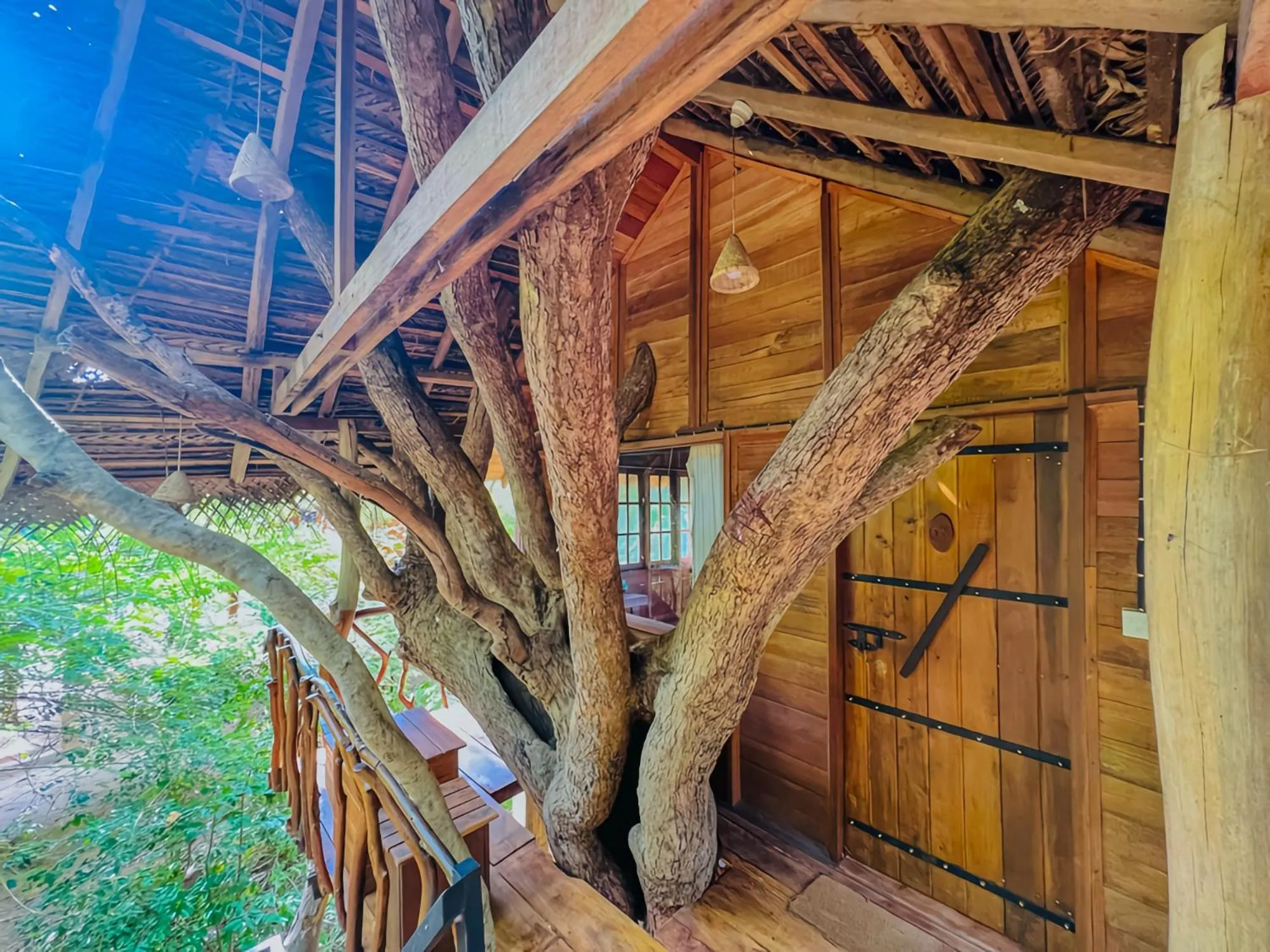 Habarana Tree House Ambasewana Resort