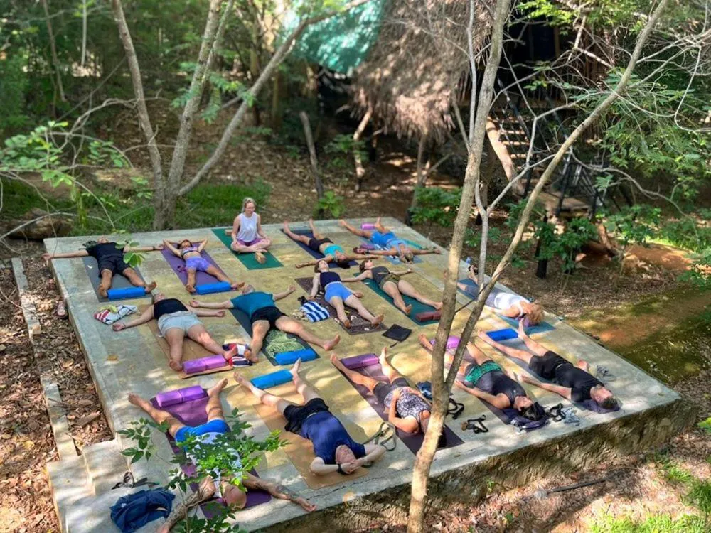 Activities in Habarana Tree House Ambasewana Resort