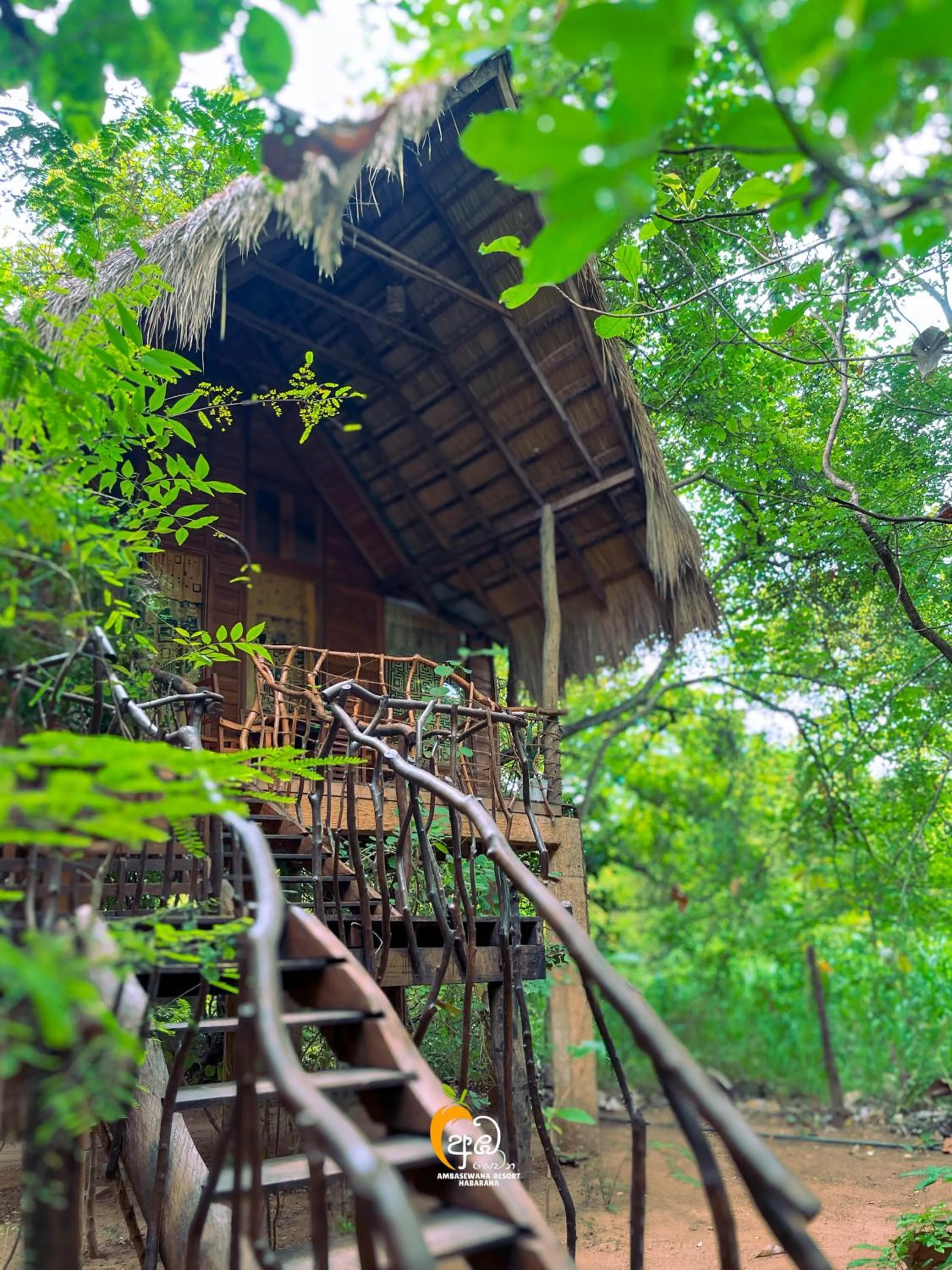 Property building in Habarana Tree House Ambasewana Resort