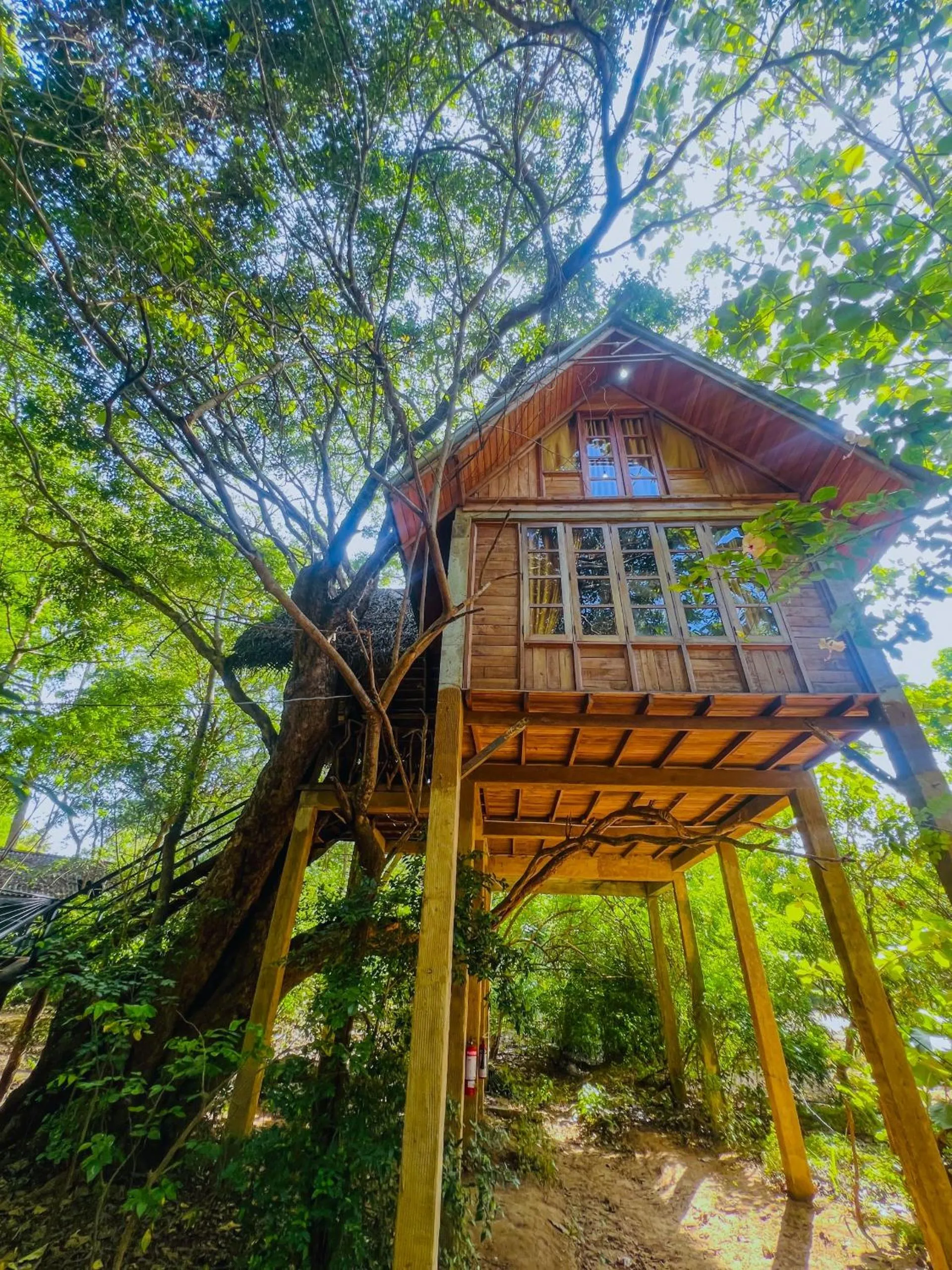 Property building in Habarana Tree House Ambasewana Resort