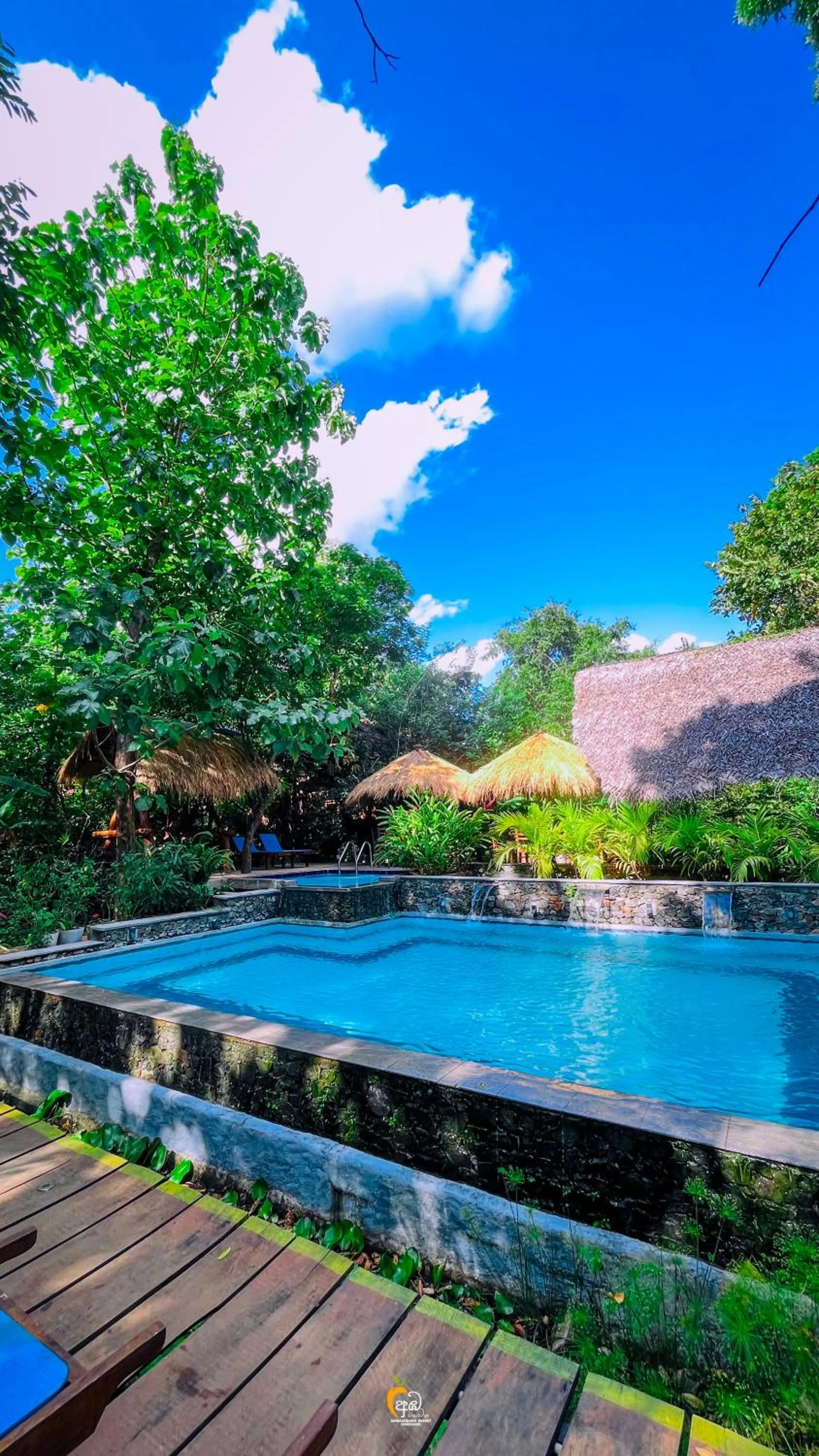 Pool view in Habarana Tree House Ambasewana Resort