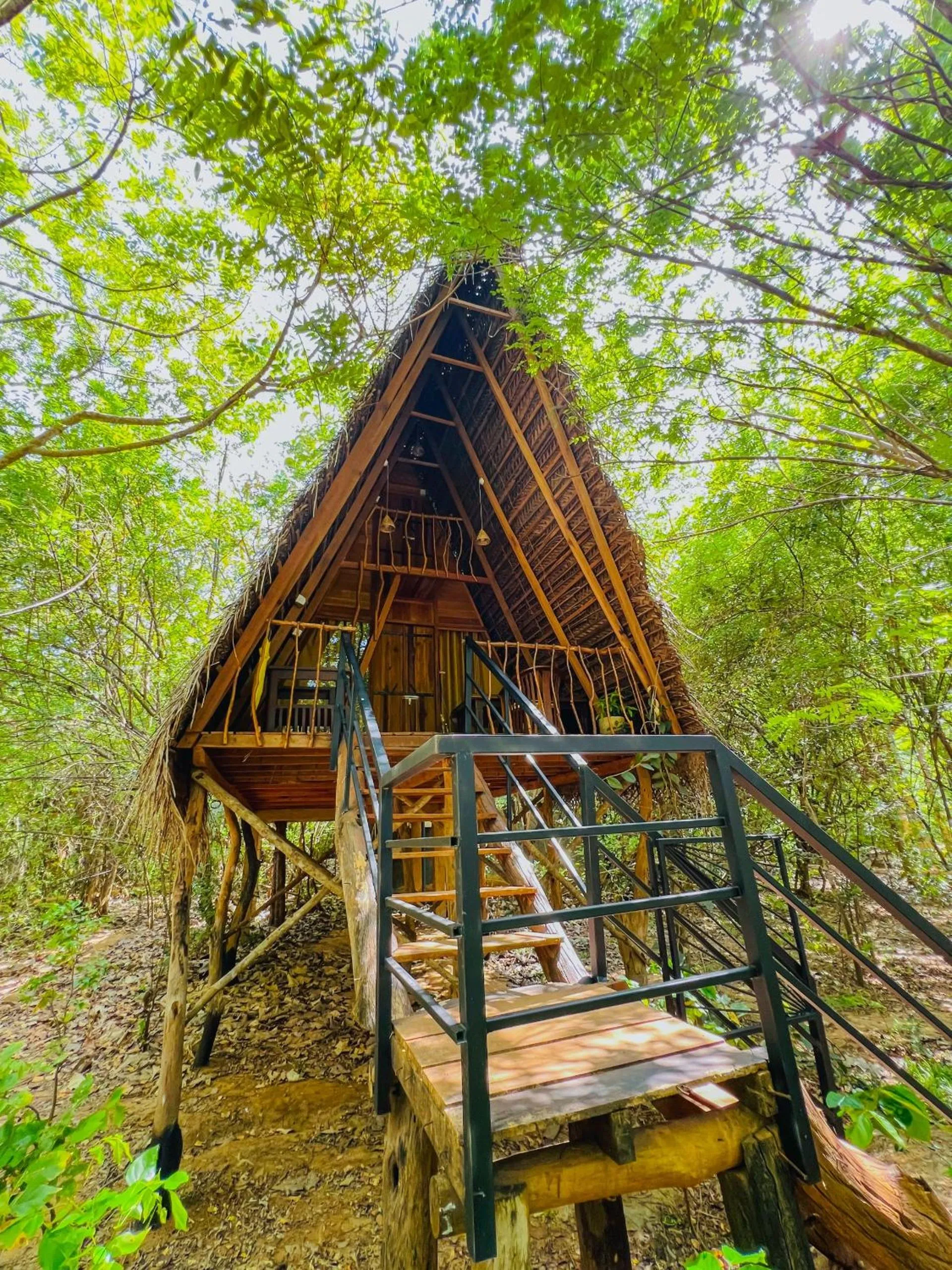 Property building in Habarana Tree House Ambasewana Resort