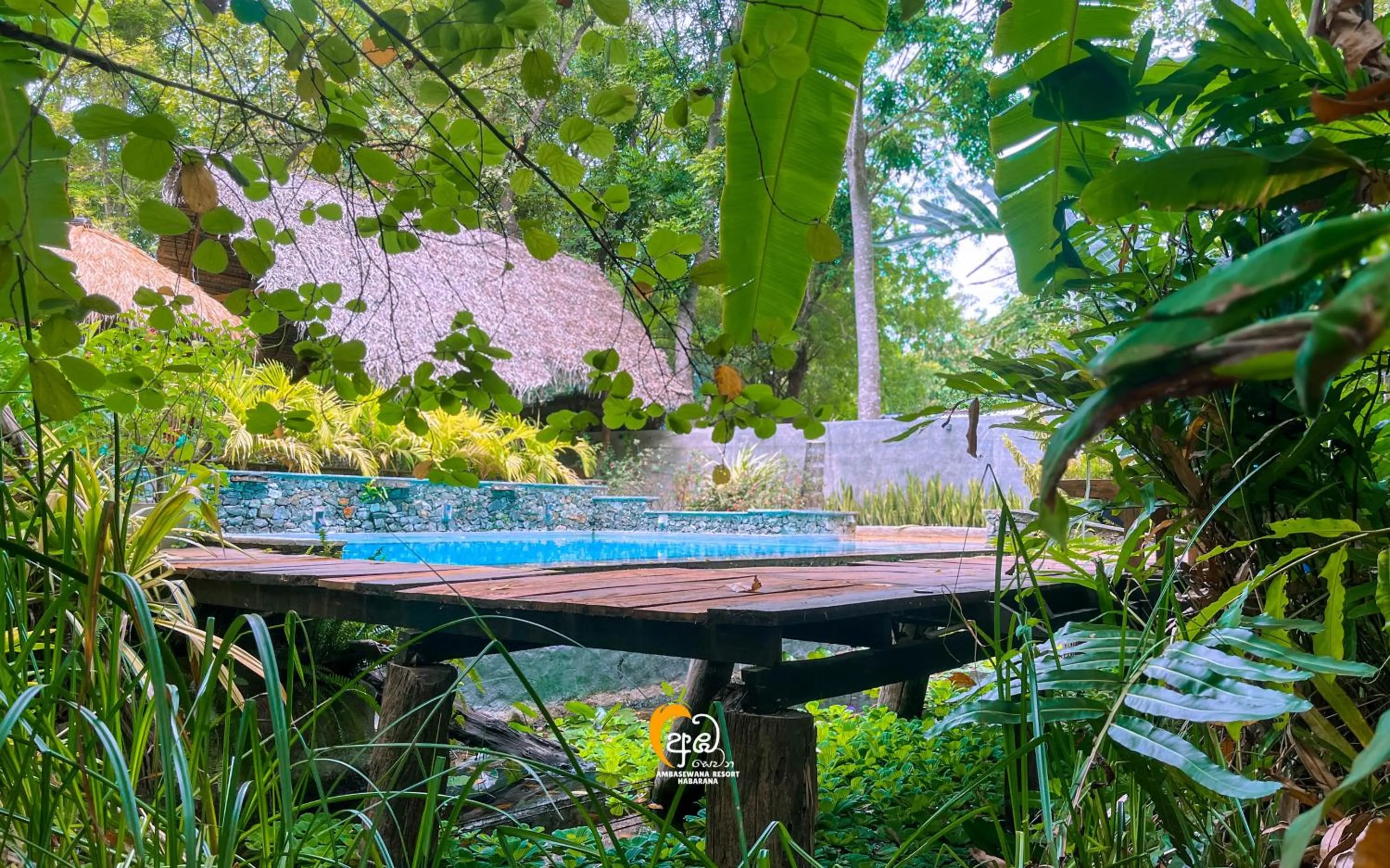 Swimming pool in Habarana Tree House Ambasewana Resort