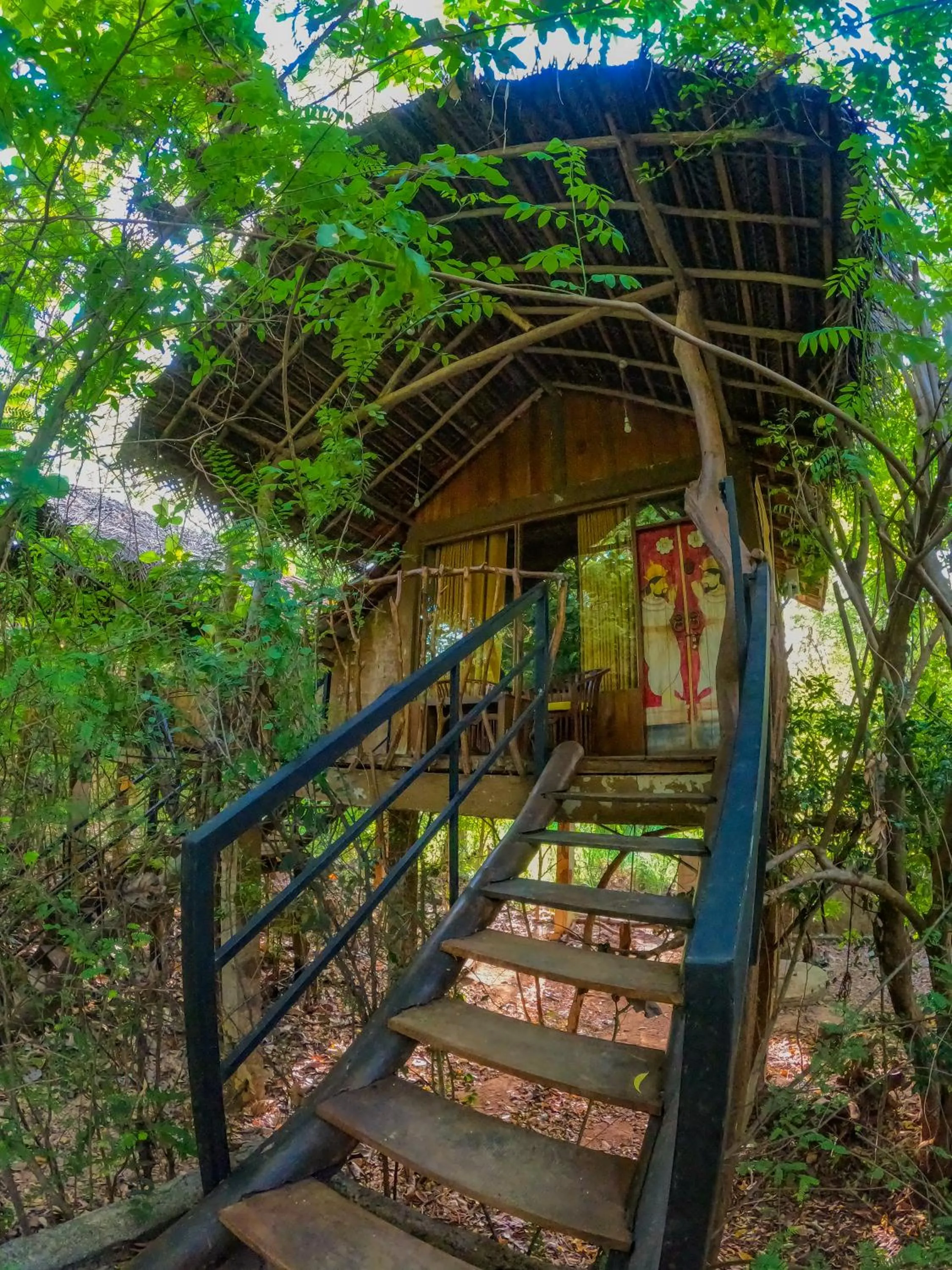 Property building in Habarana Tree House Ambasewana Resort
