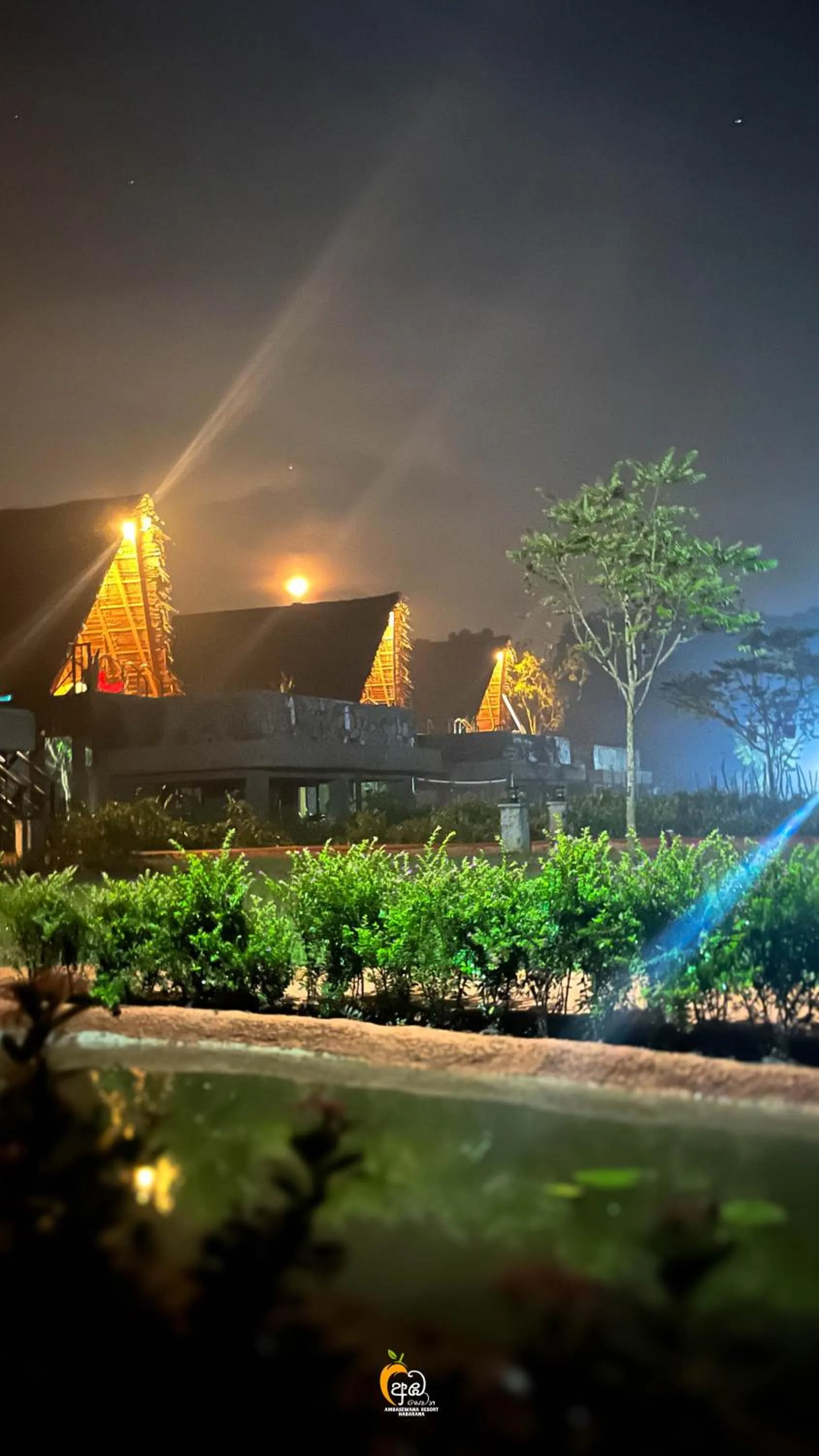 Night in Habarana Tree House Ambasewana Resort