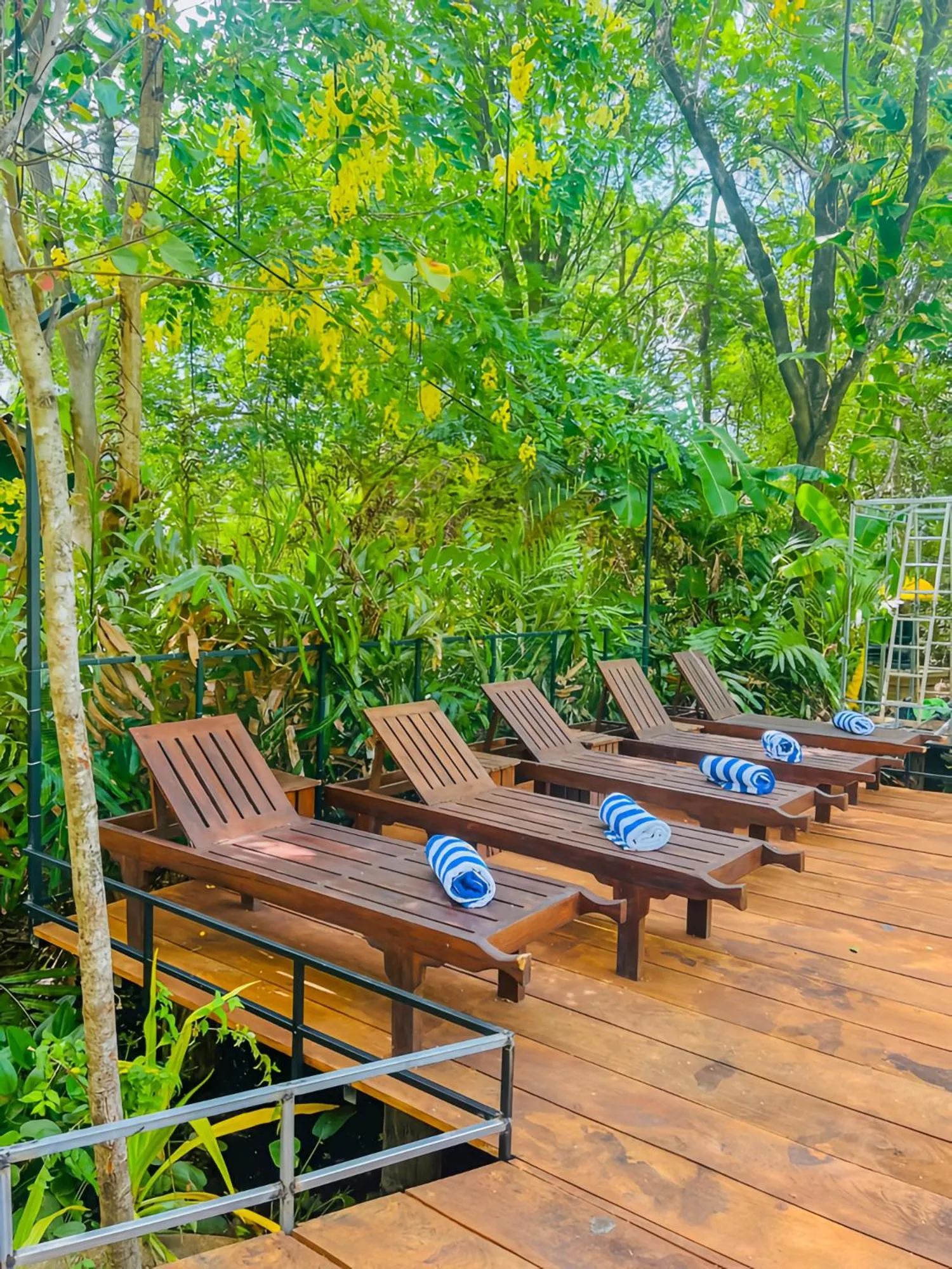 Habarana Tree House Ambasewana Resort