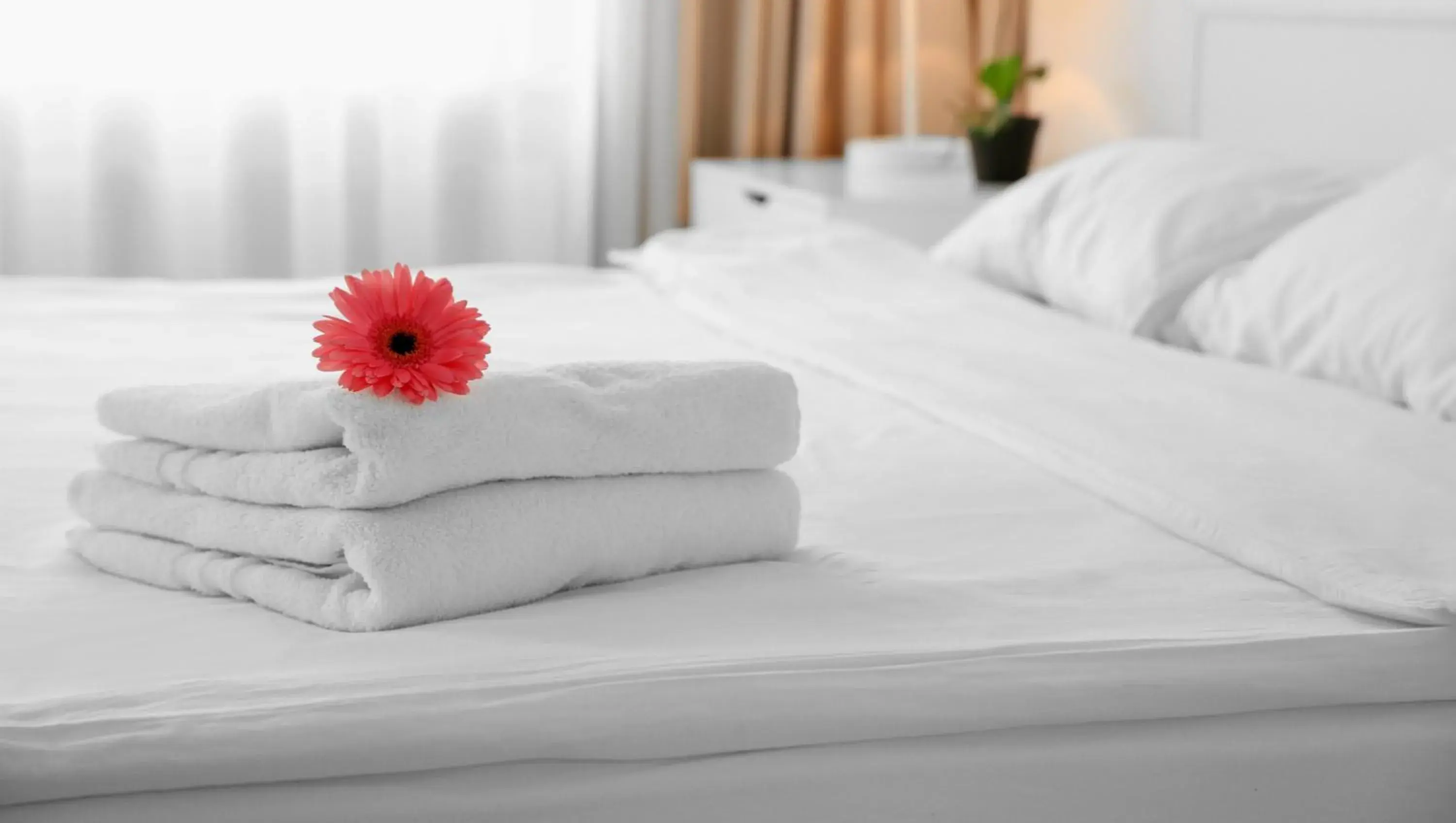 Bedroom, Bed in Pearl on the Concho Bedroom, Bed in Pearl on the Concho