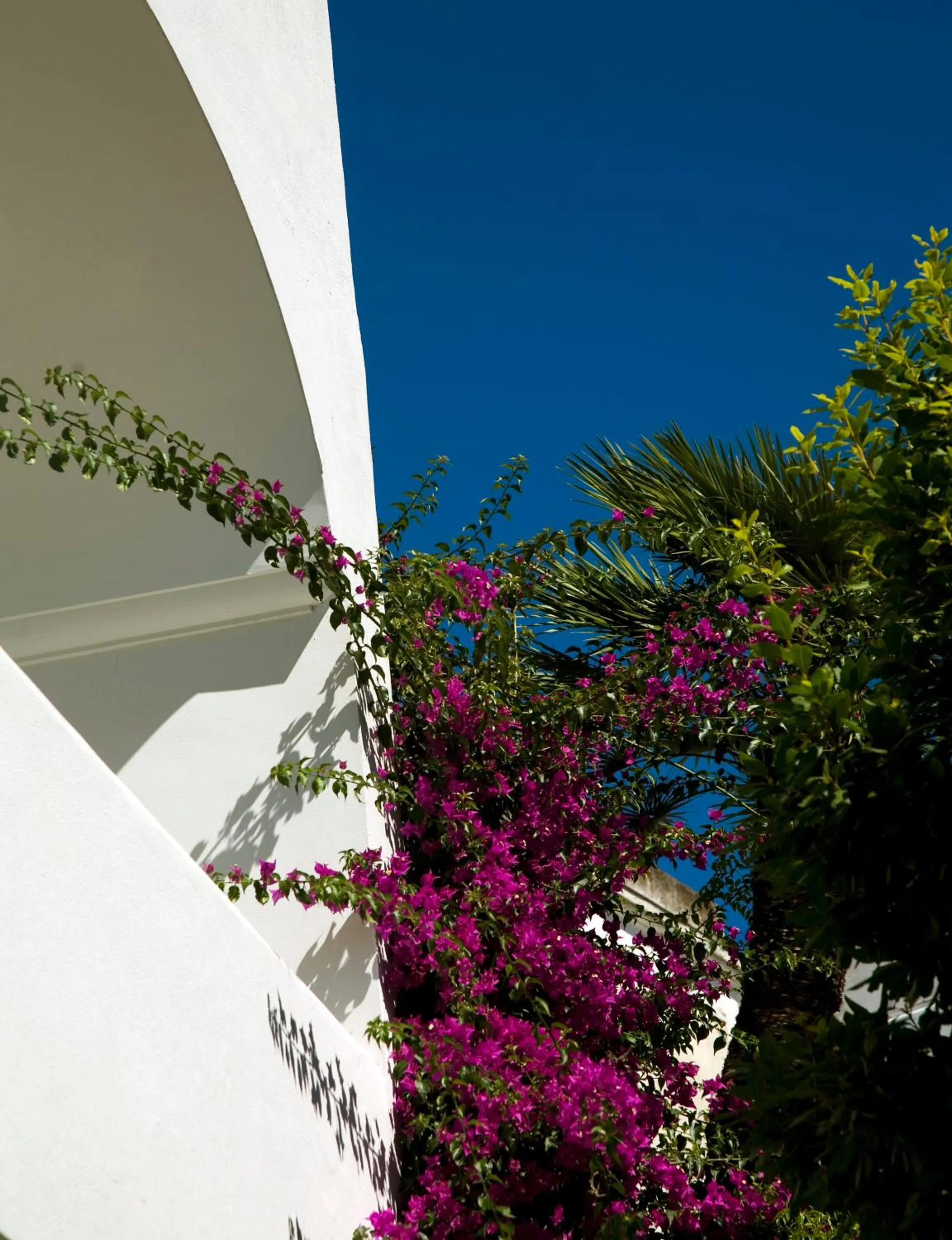 Albergo Gatto Bianco