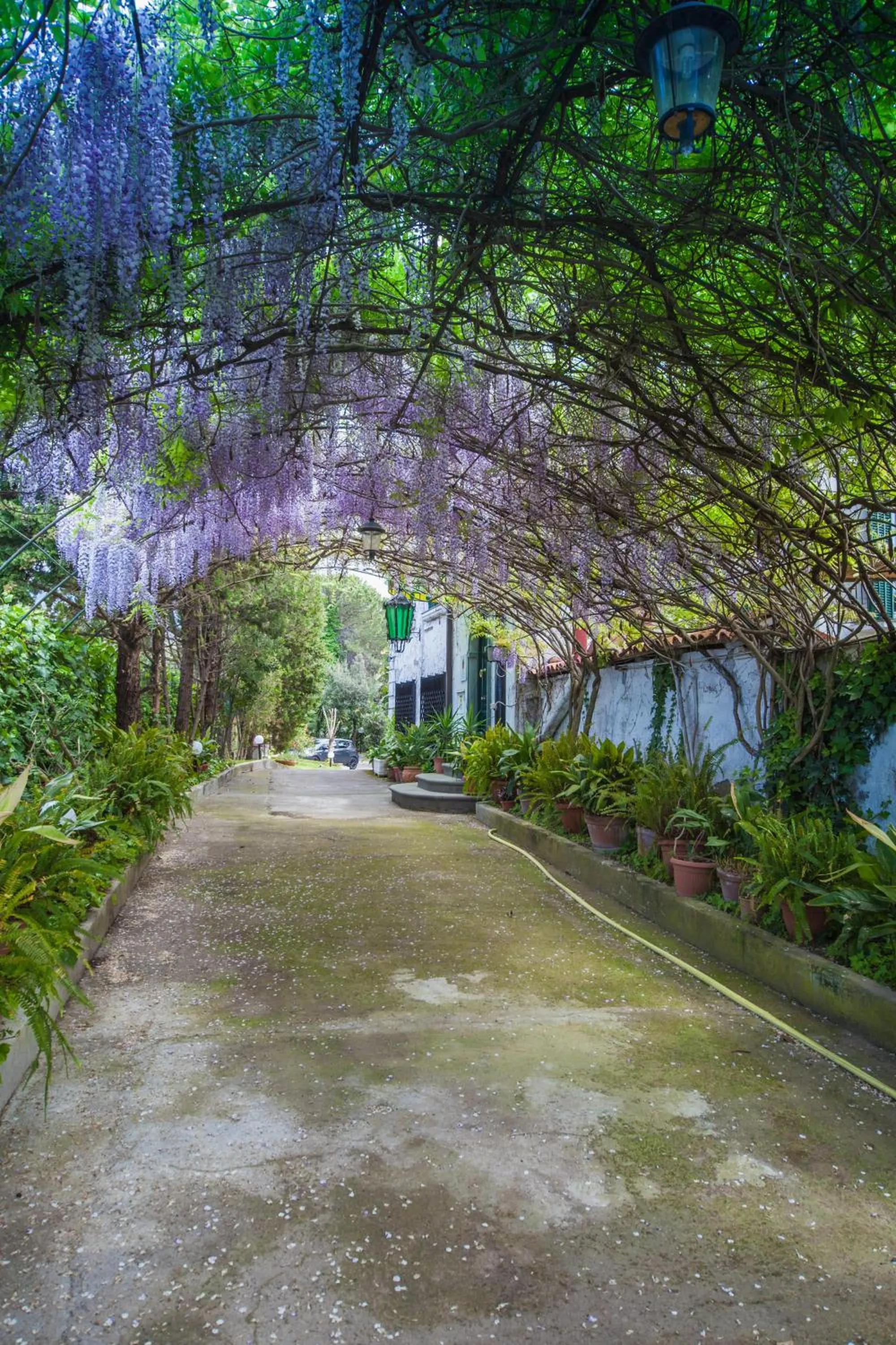 Inner courtyard view in B&B Casina de Goyzueta