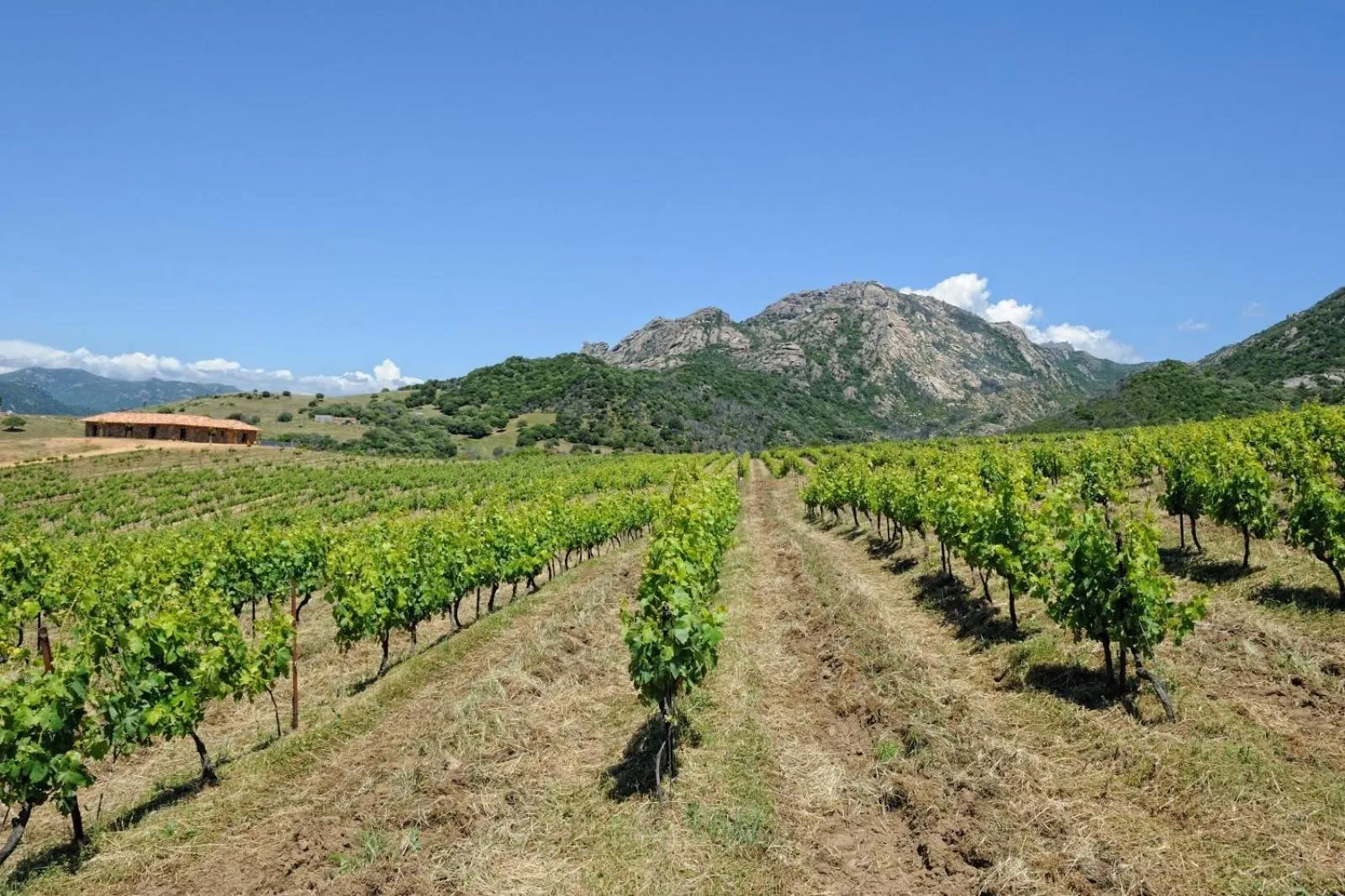 Day in Chambre d'Hôtes Domaine Pero Longo
