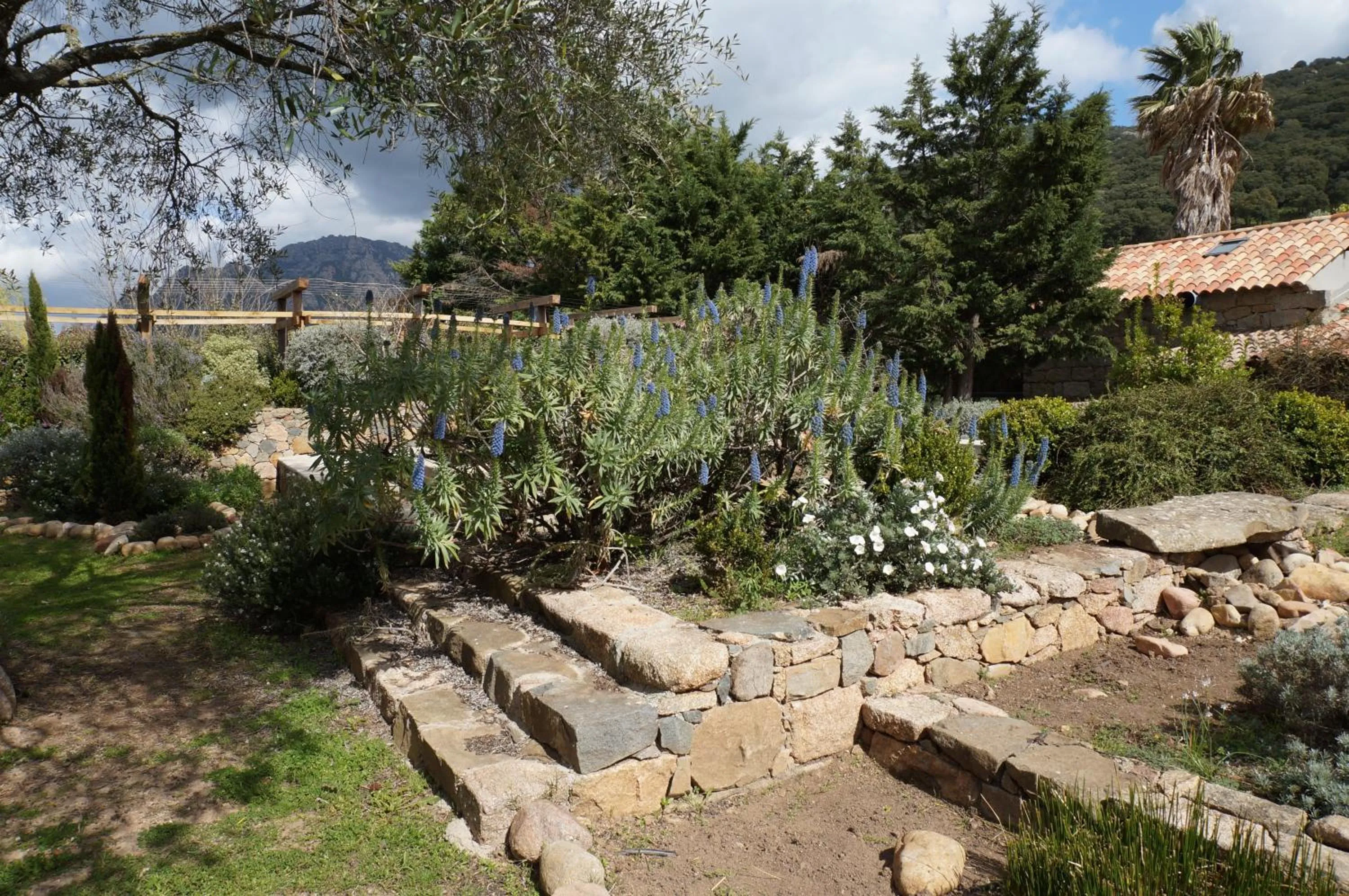 Garden in Chambre d'Hôtes Domaine Pero Longo