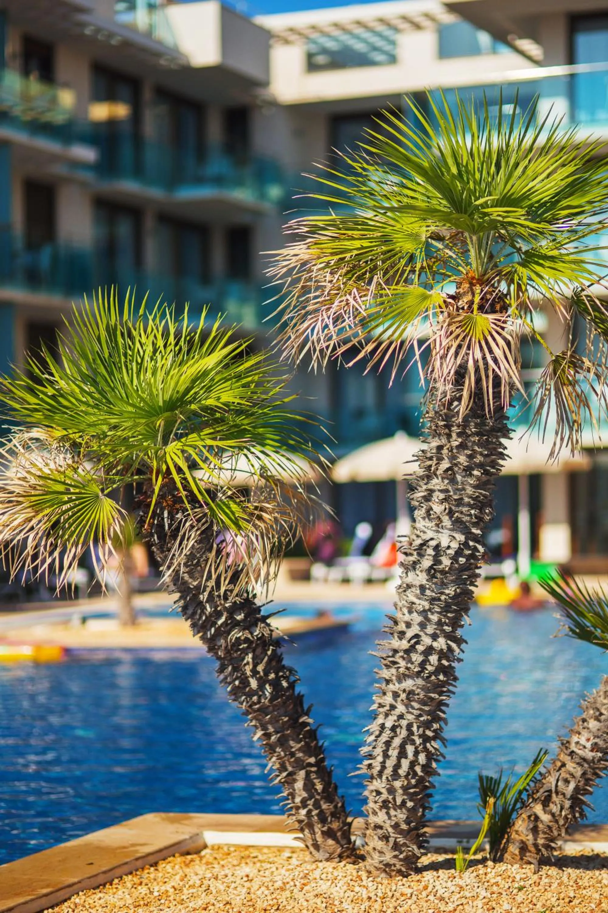 Swimming pool in Aparthotel Caprice Skyline