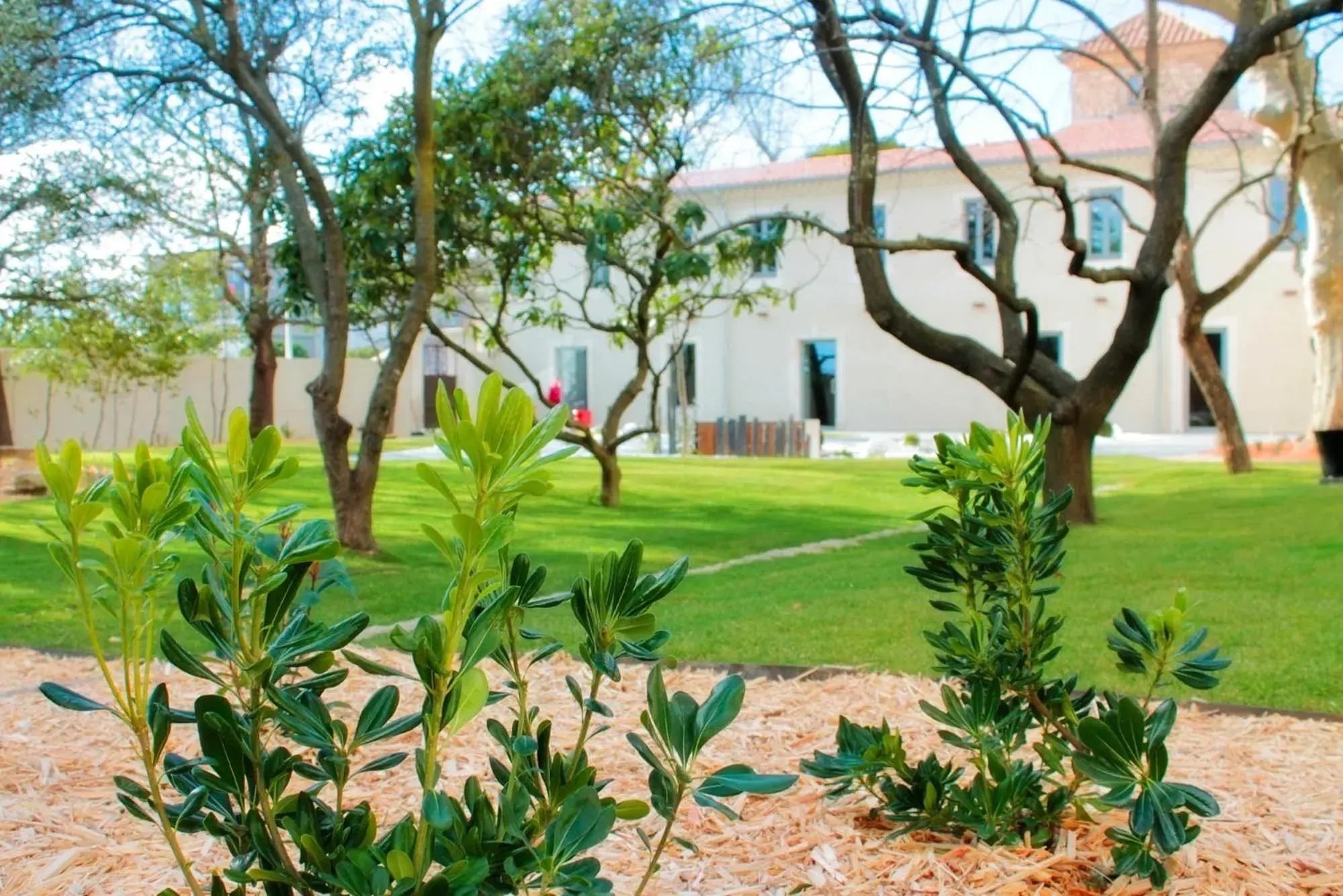 View (from property/room) in Mas de Boudan View (from property/room) in Mas de Boudan