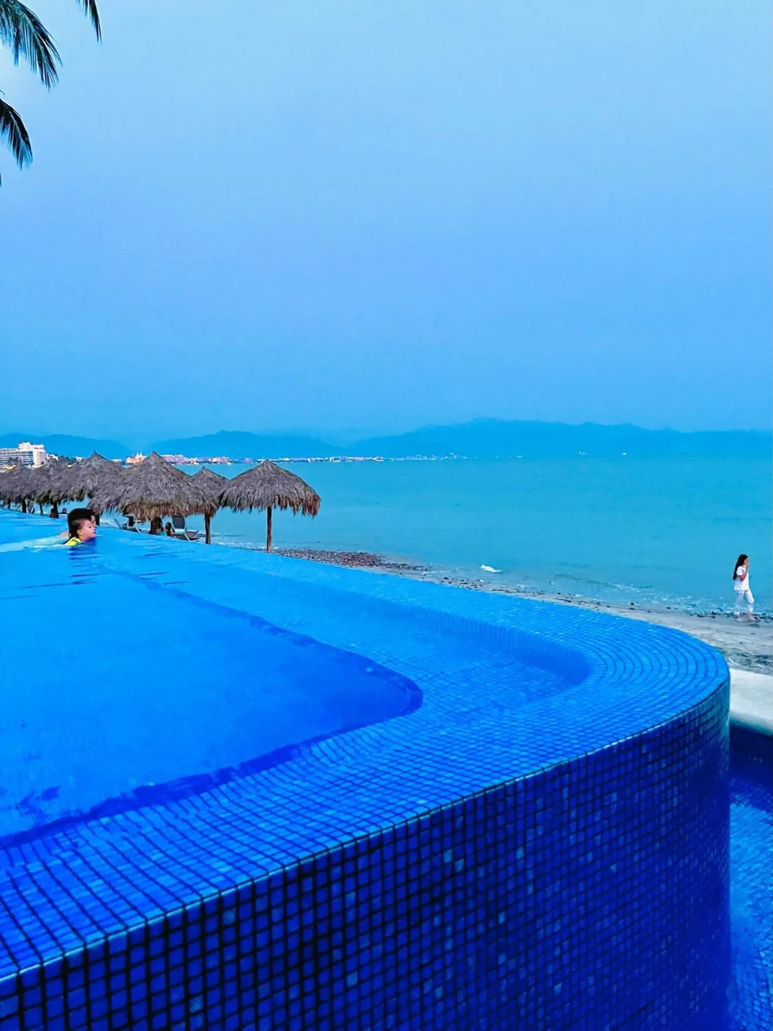 Natural landscape in Los Picos Hotel & Suites Bucerias