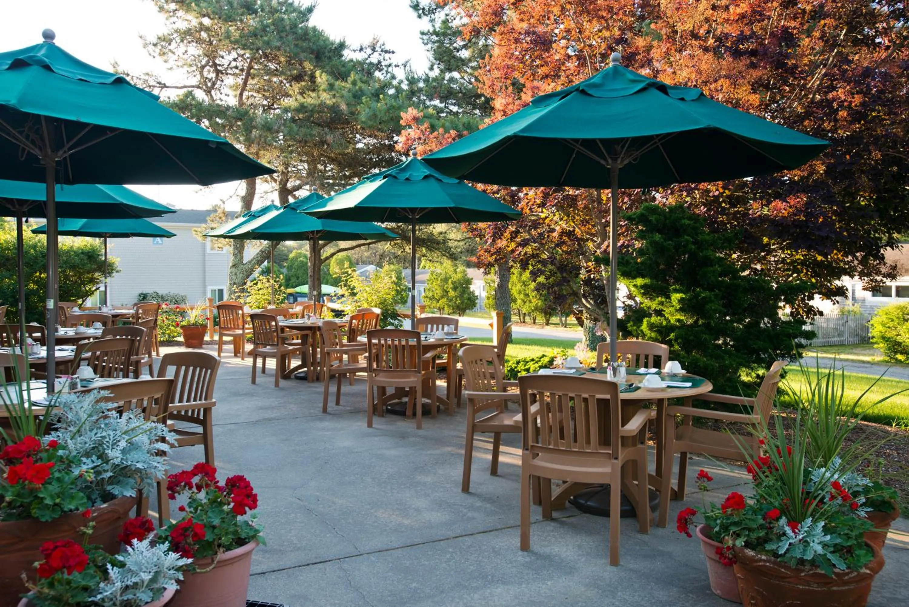 Restaurant/places to eat in Wellfleet Motel & Lodge