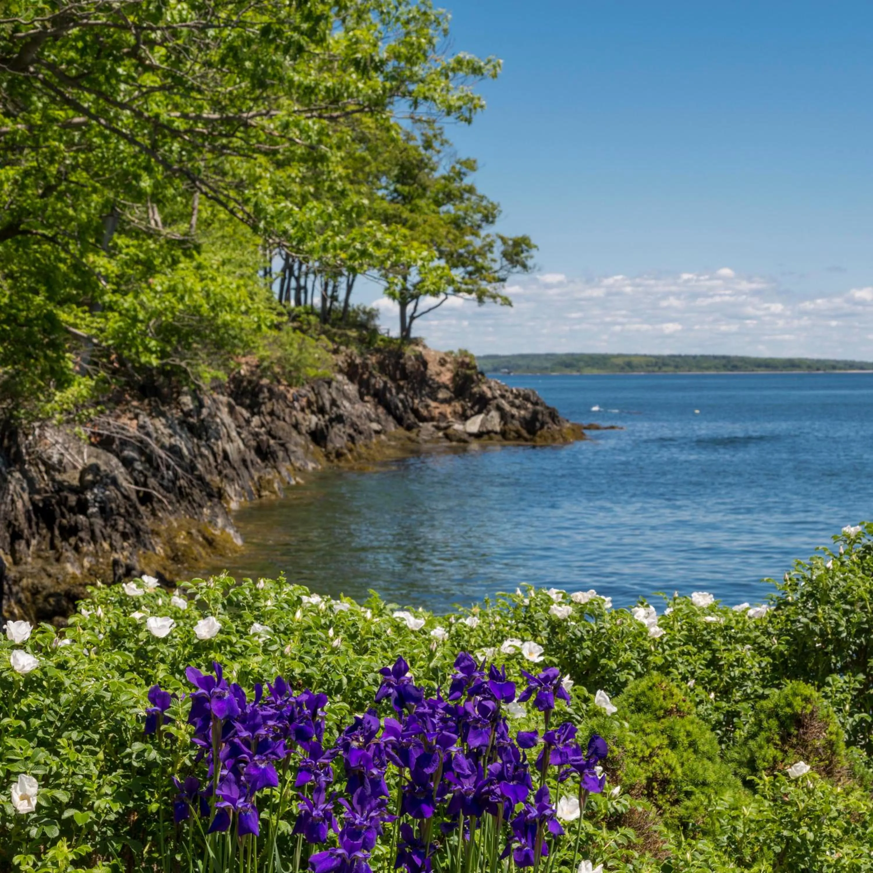 Sea view in Inn at Diamond Cove
