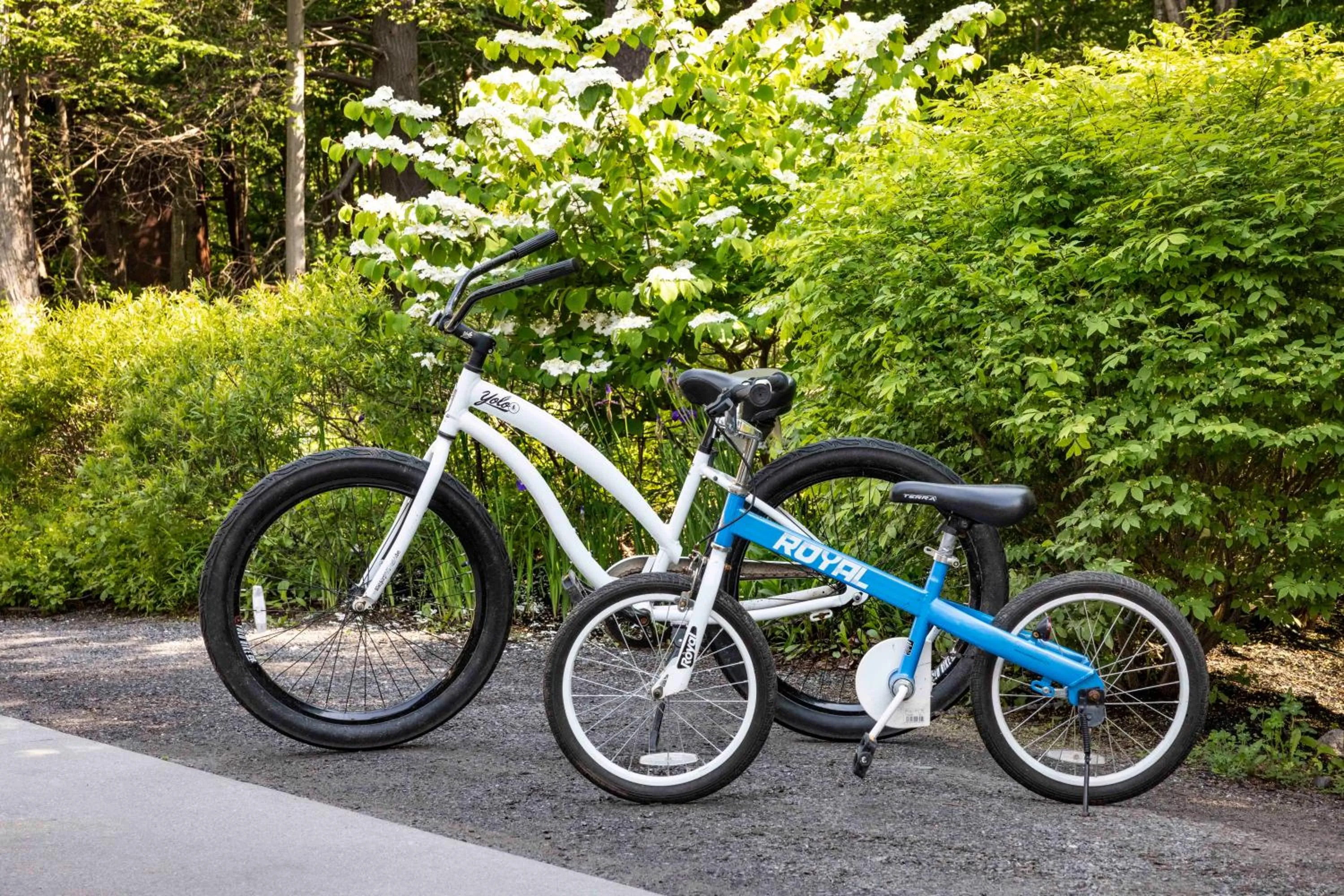 Activities in Inn at Diamond Cove