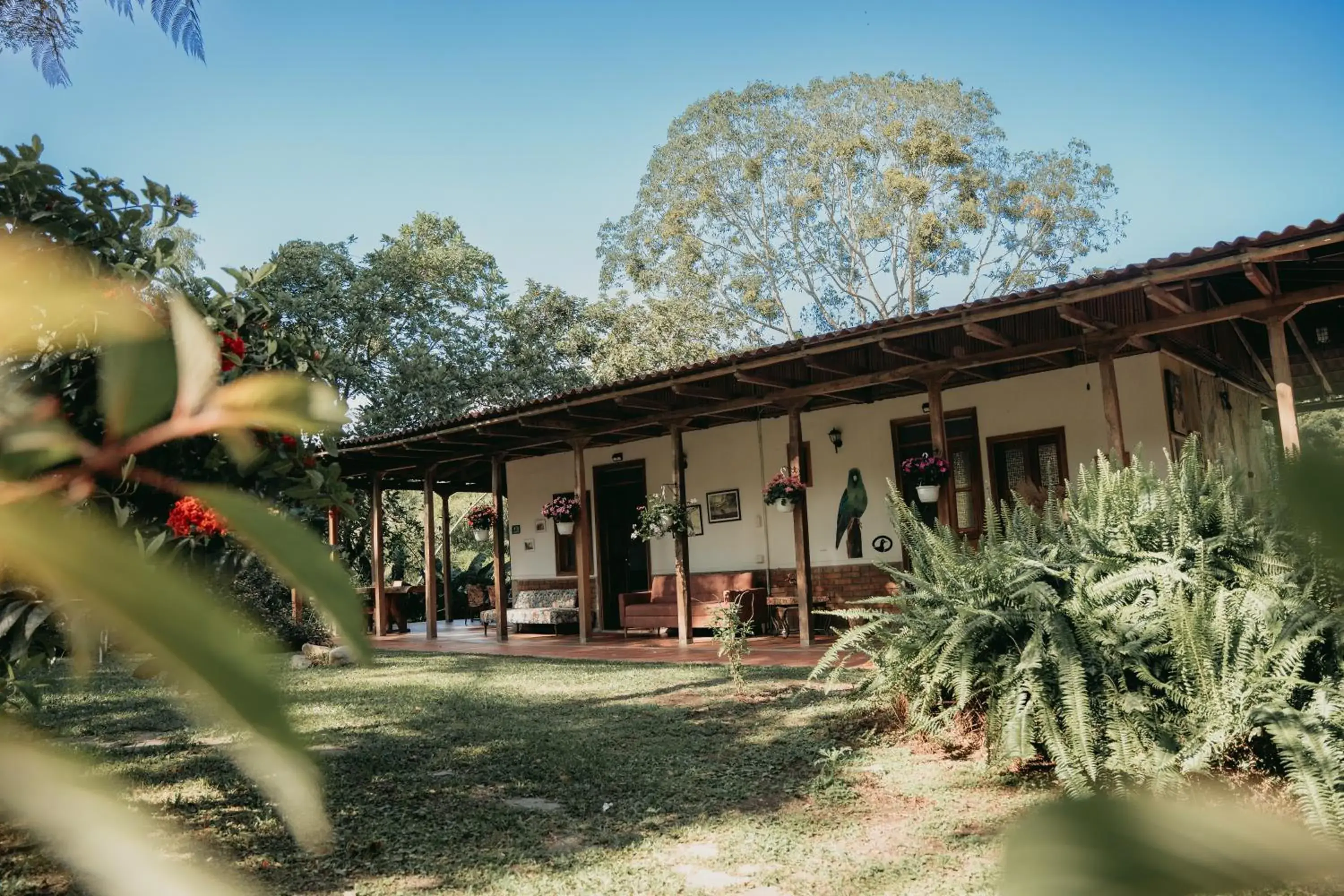 Tinamú Birding and Nature Lodge Tinamú Birding and Nature Lodge
