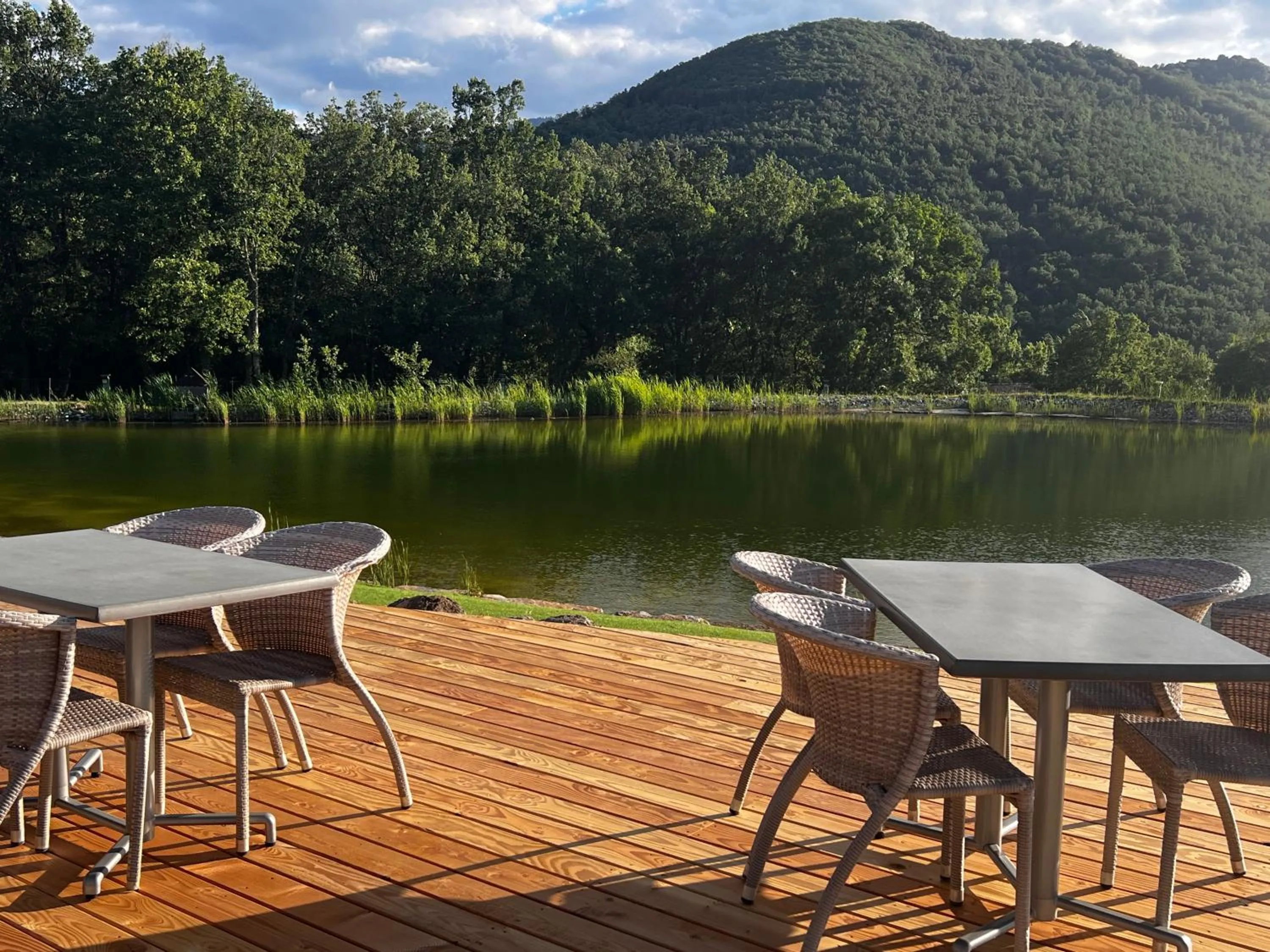 Balcony/Terrace in Domaine de l'Espinet