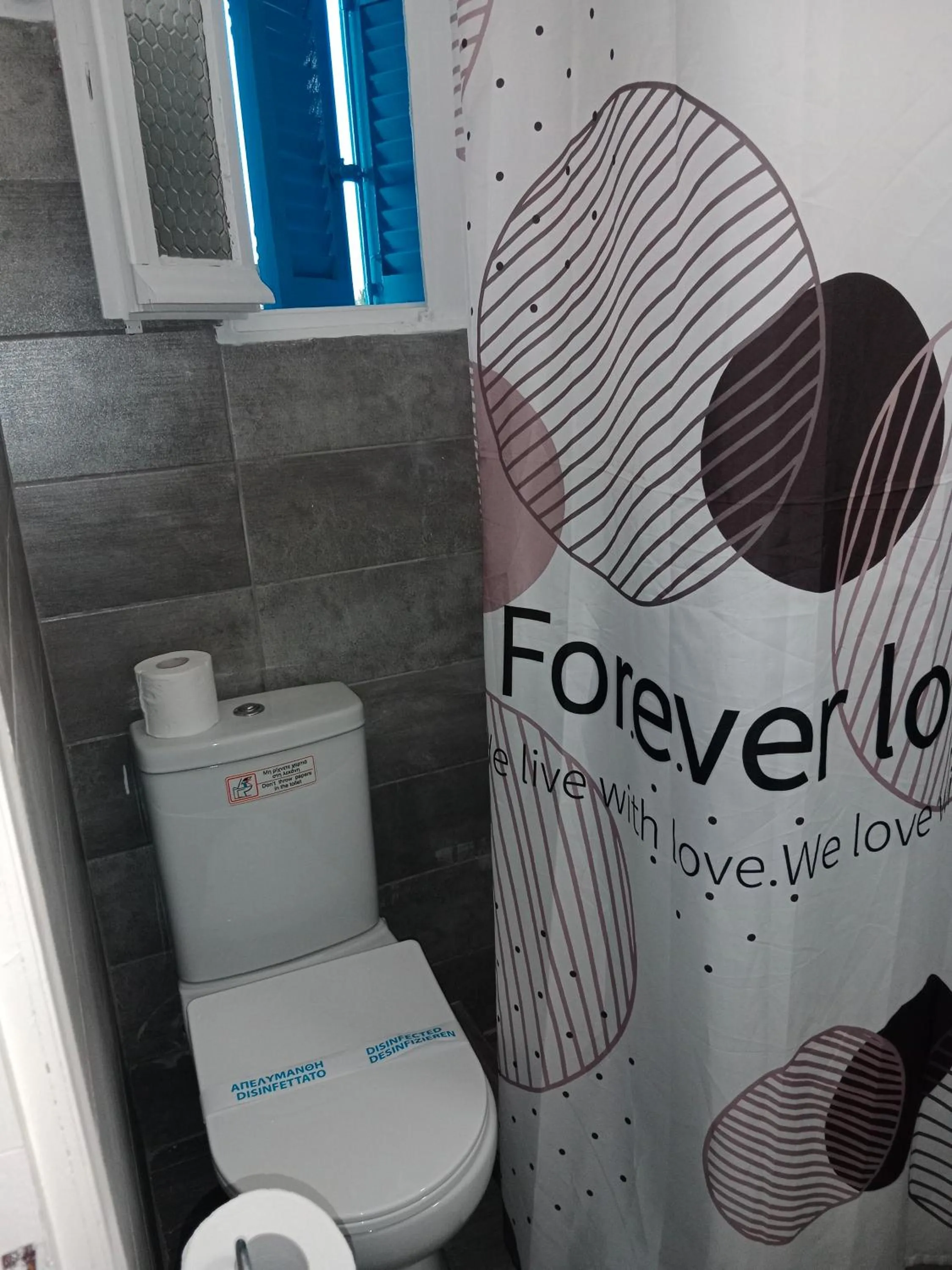 Toilet in Aristides Studios