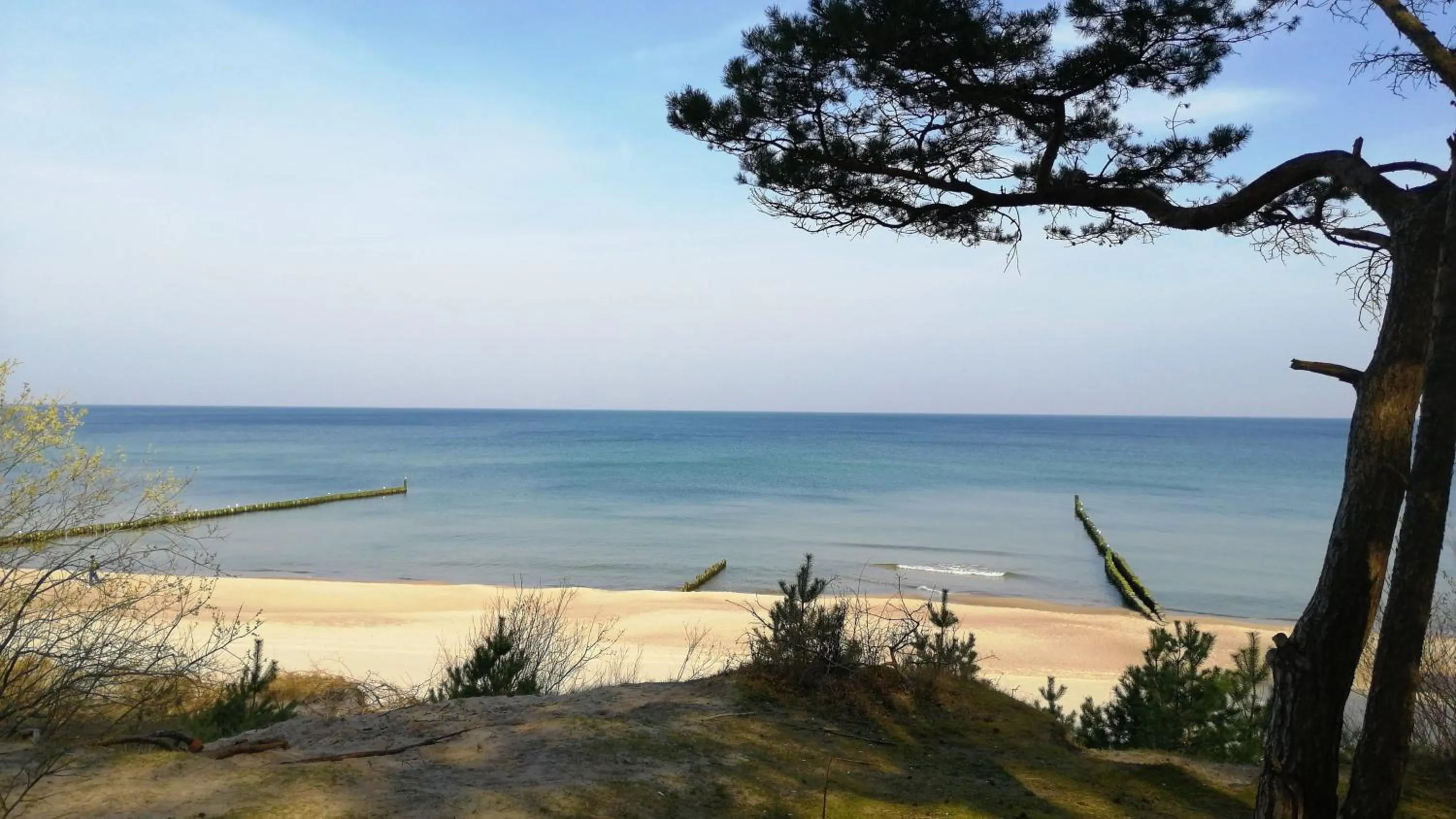 Nearby landmark in Hotel SKAL Medi SPA & Resort