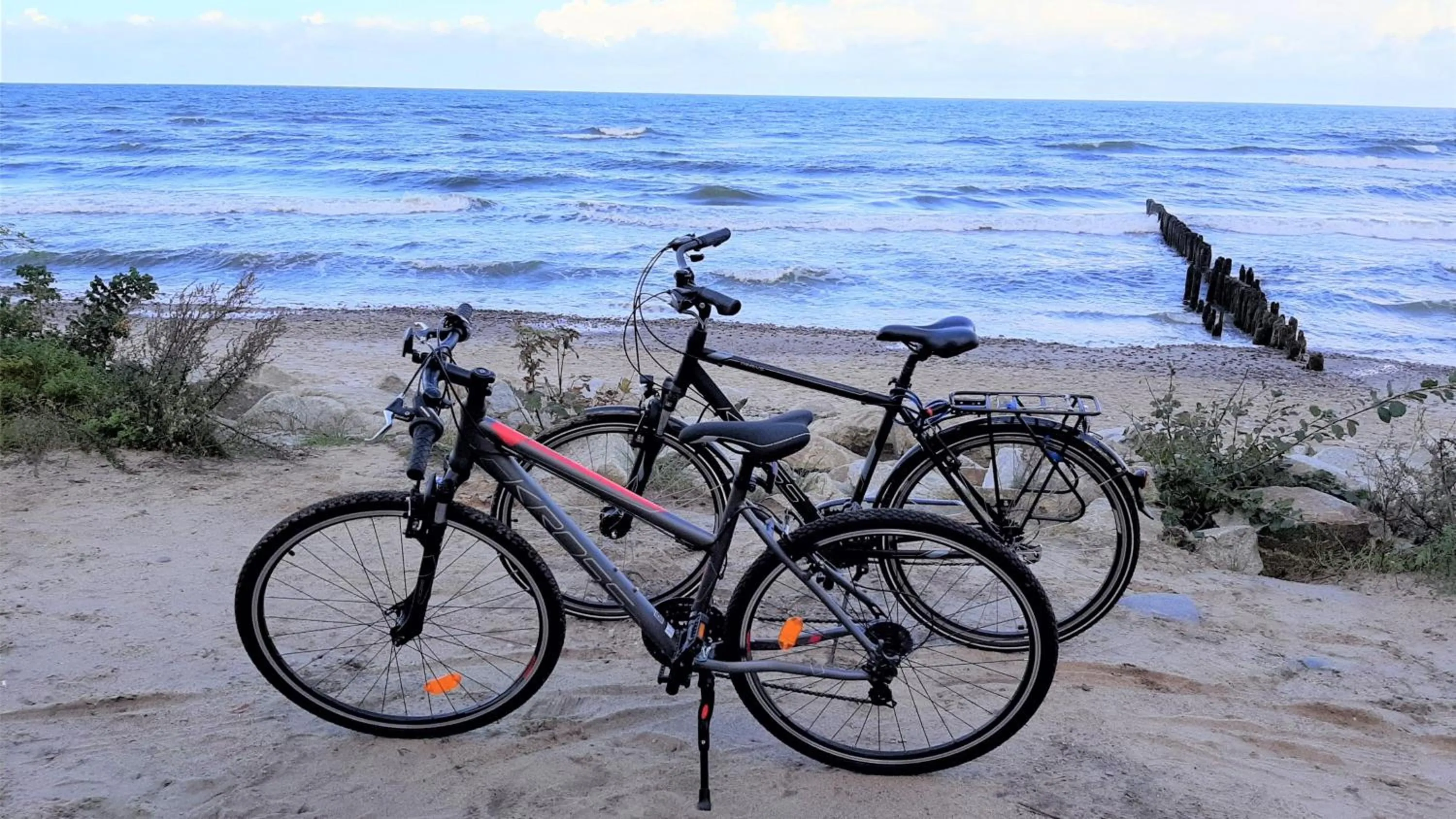 Day in Hotel SKAL Medi SPA & Resort