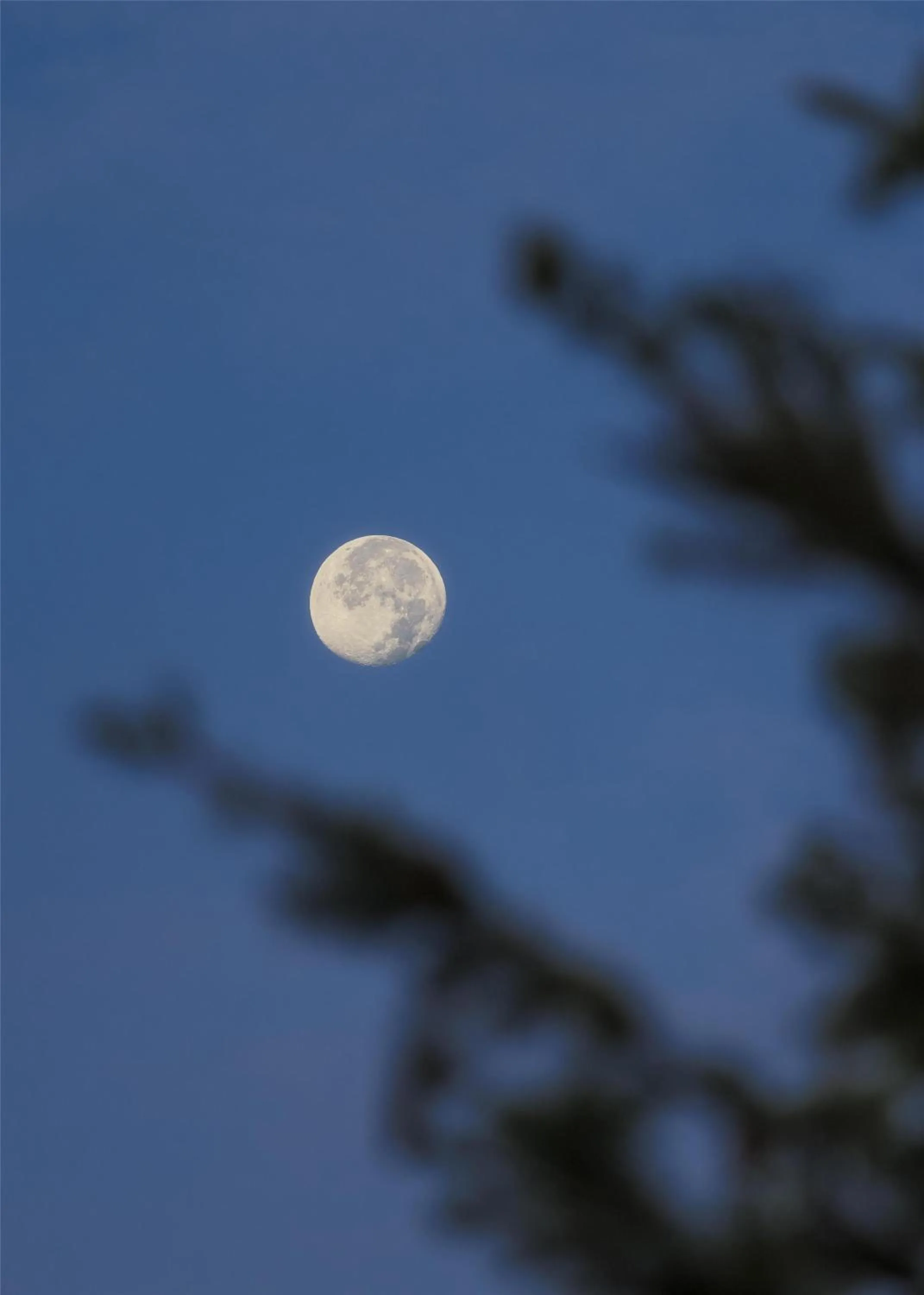 View (from property/room) in One&Only Moonlight Basin
