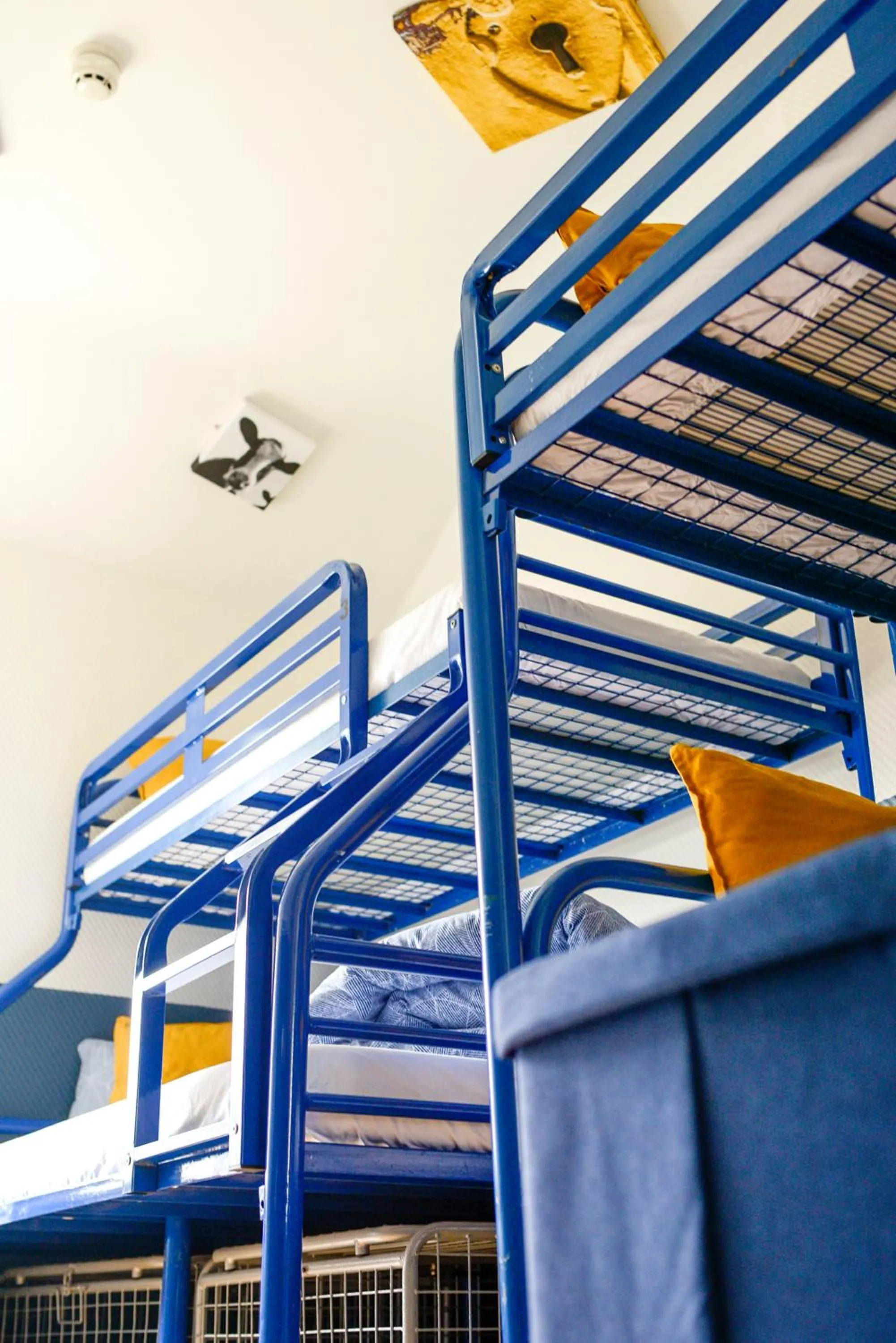 Bed in The Woodquay Hostel