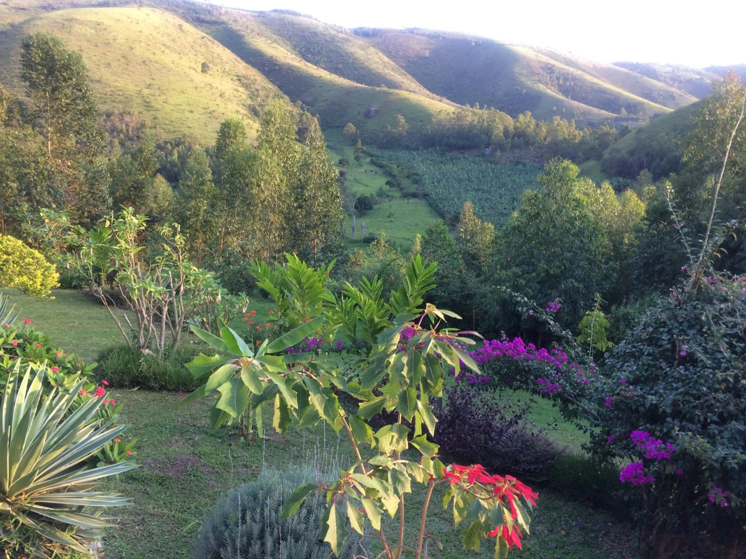 Nyore Hillside Retreat