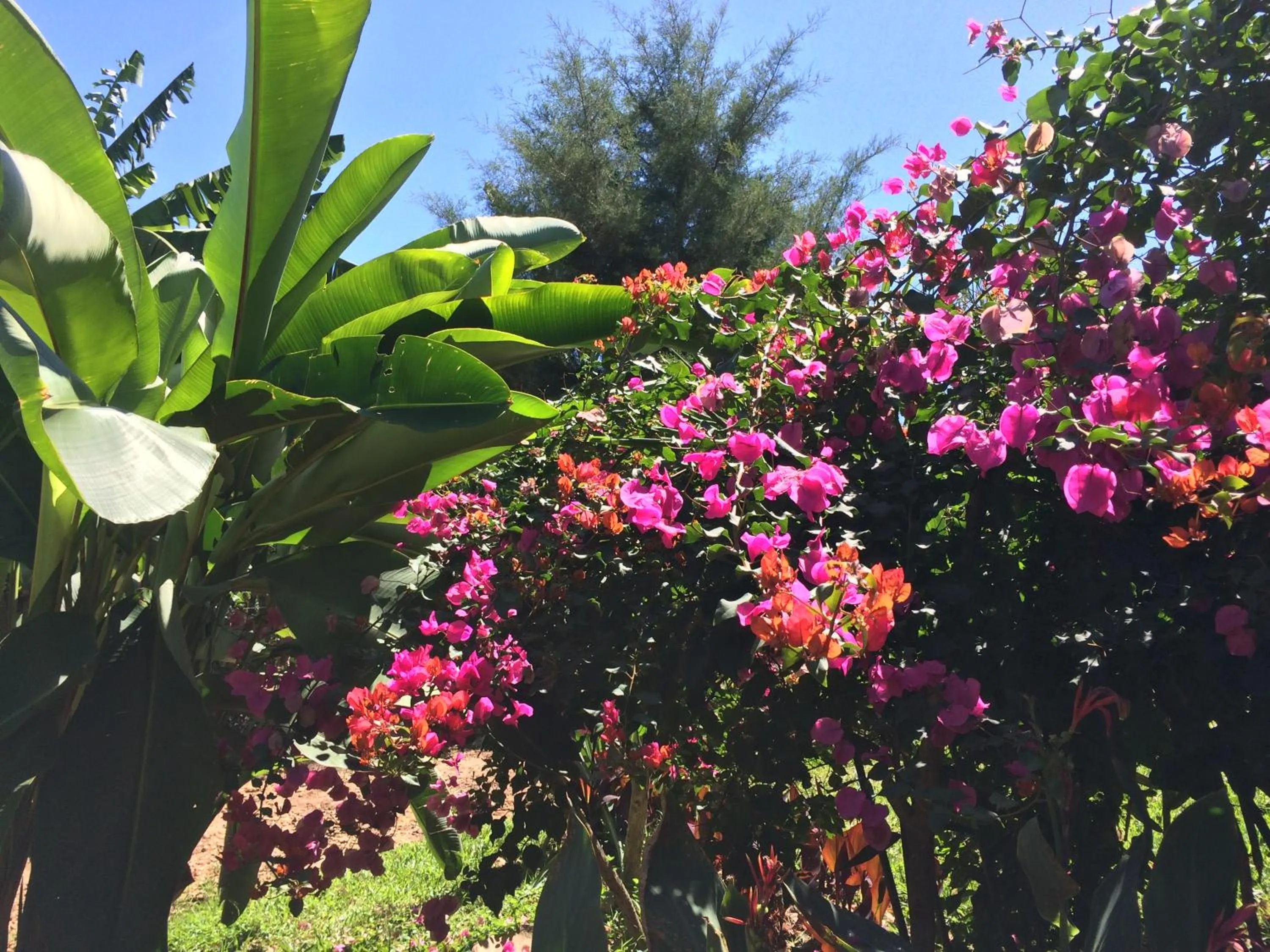 Natural landscape in Nyore Hillside Retreat