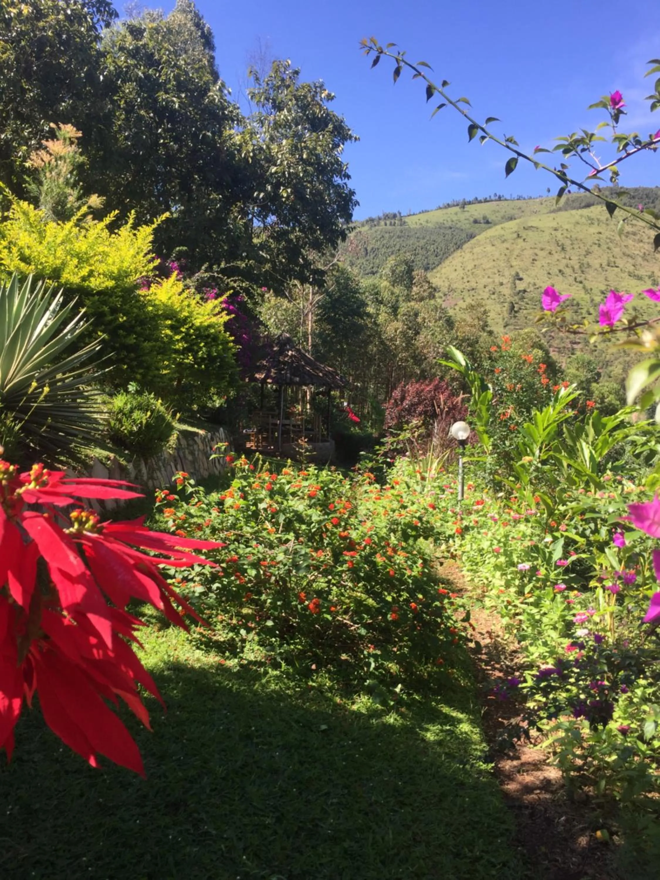 Other in Nyore Hillside Retreat