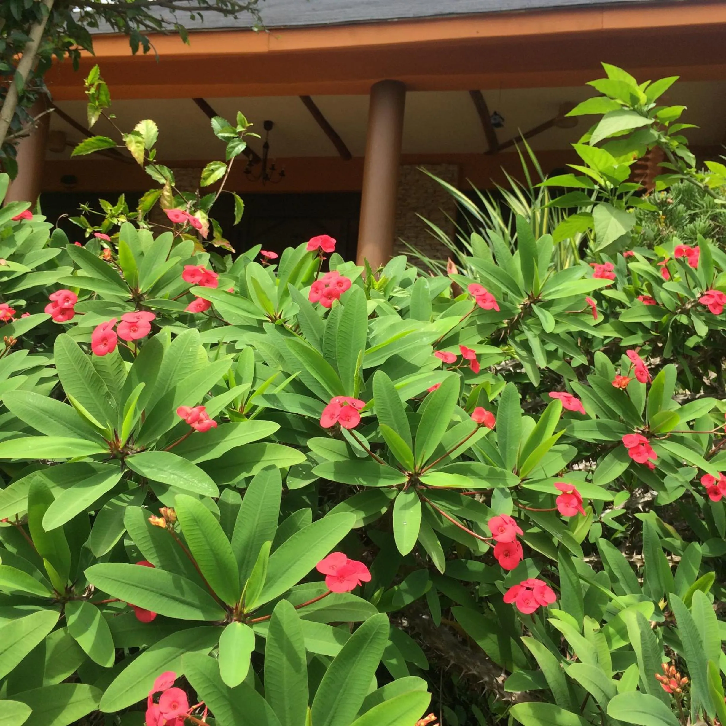 Nyore Hillside Retreat