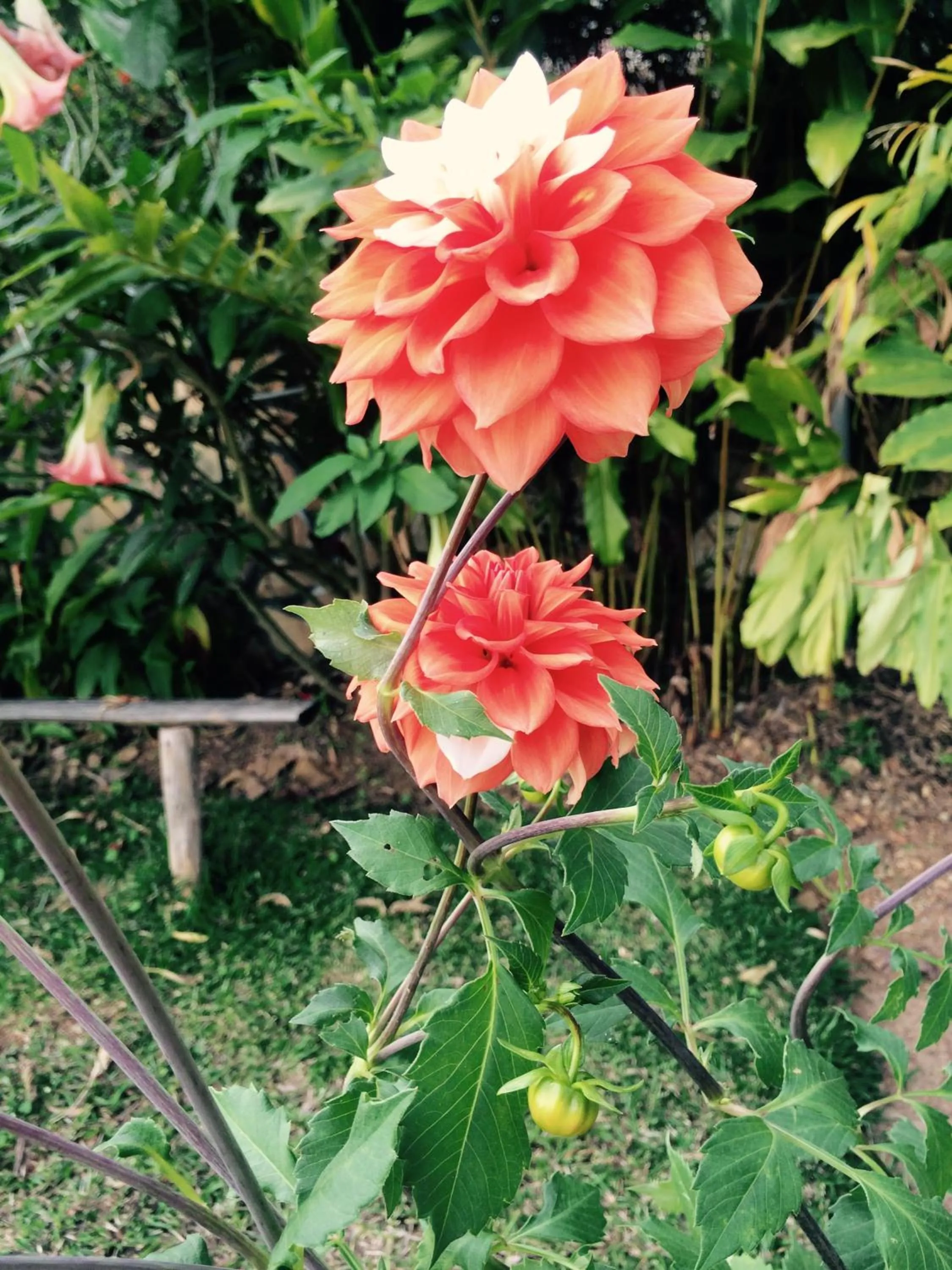 Nyore Hillside Retreat