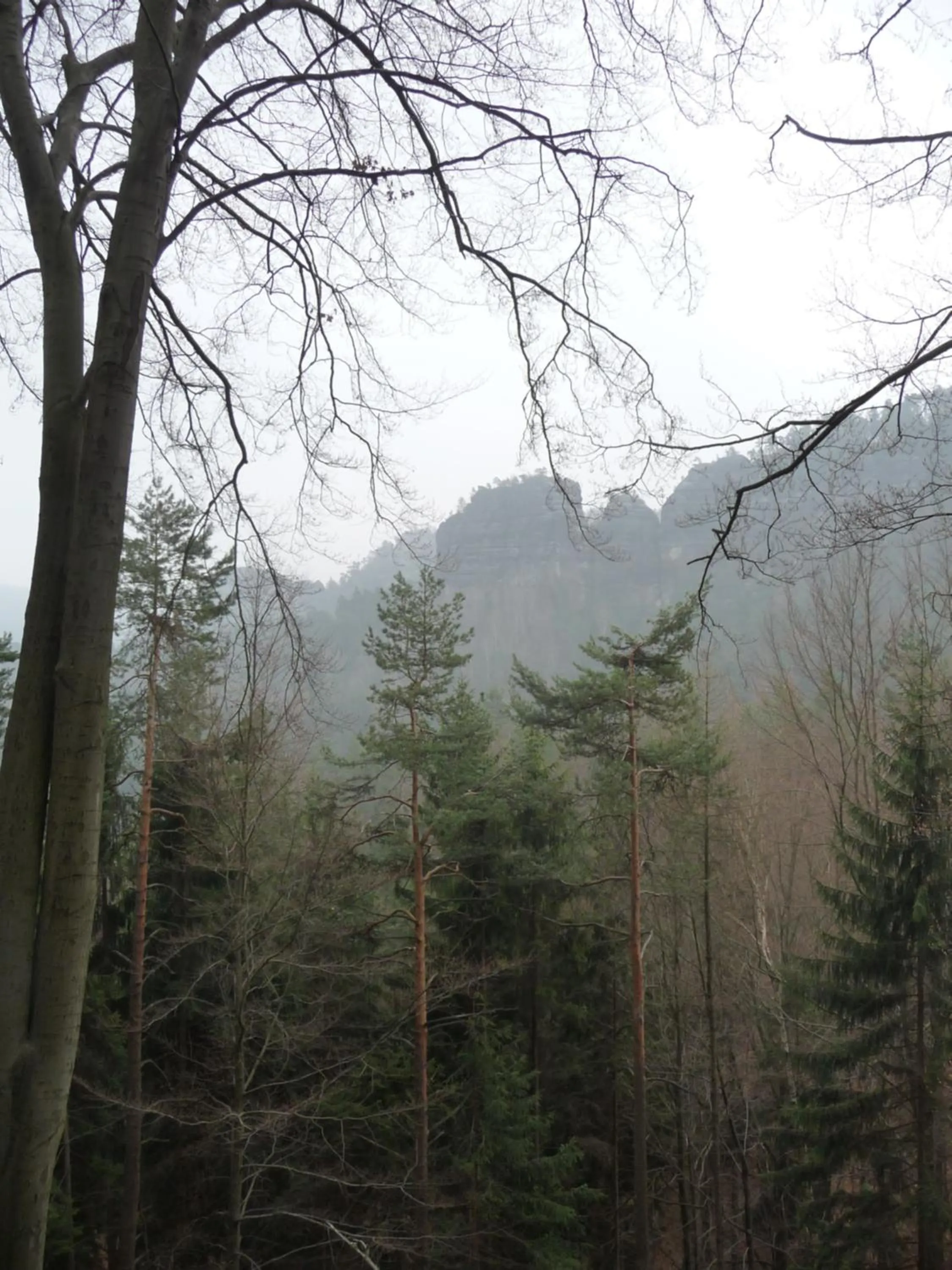 Natural landscape in Hotel Brückenschänke