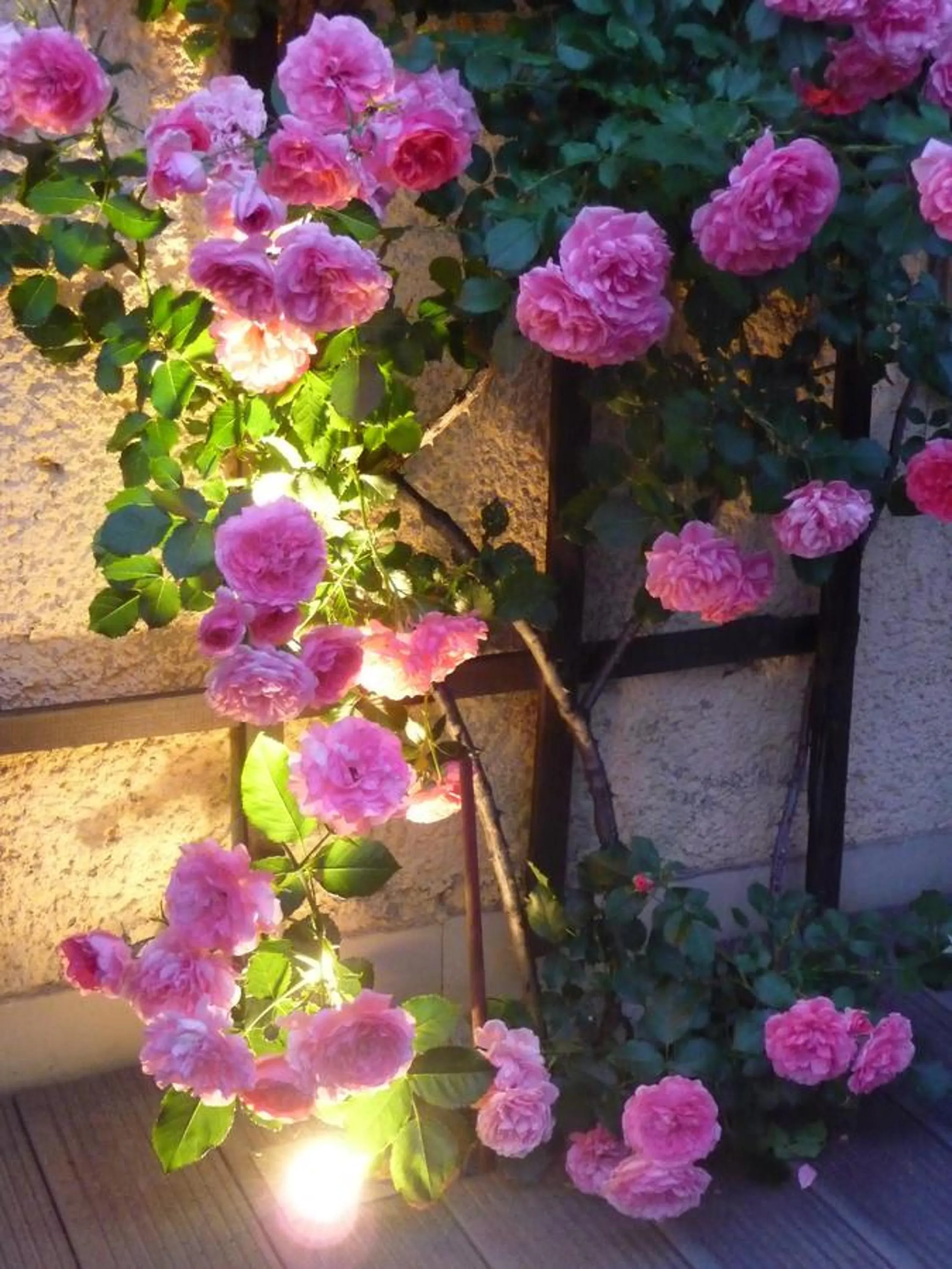 Balcony/Terrace in Hotel Brückenschänke