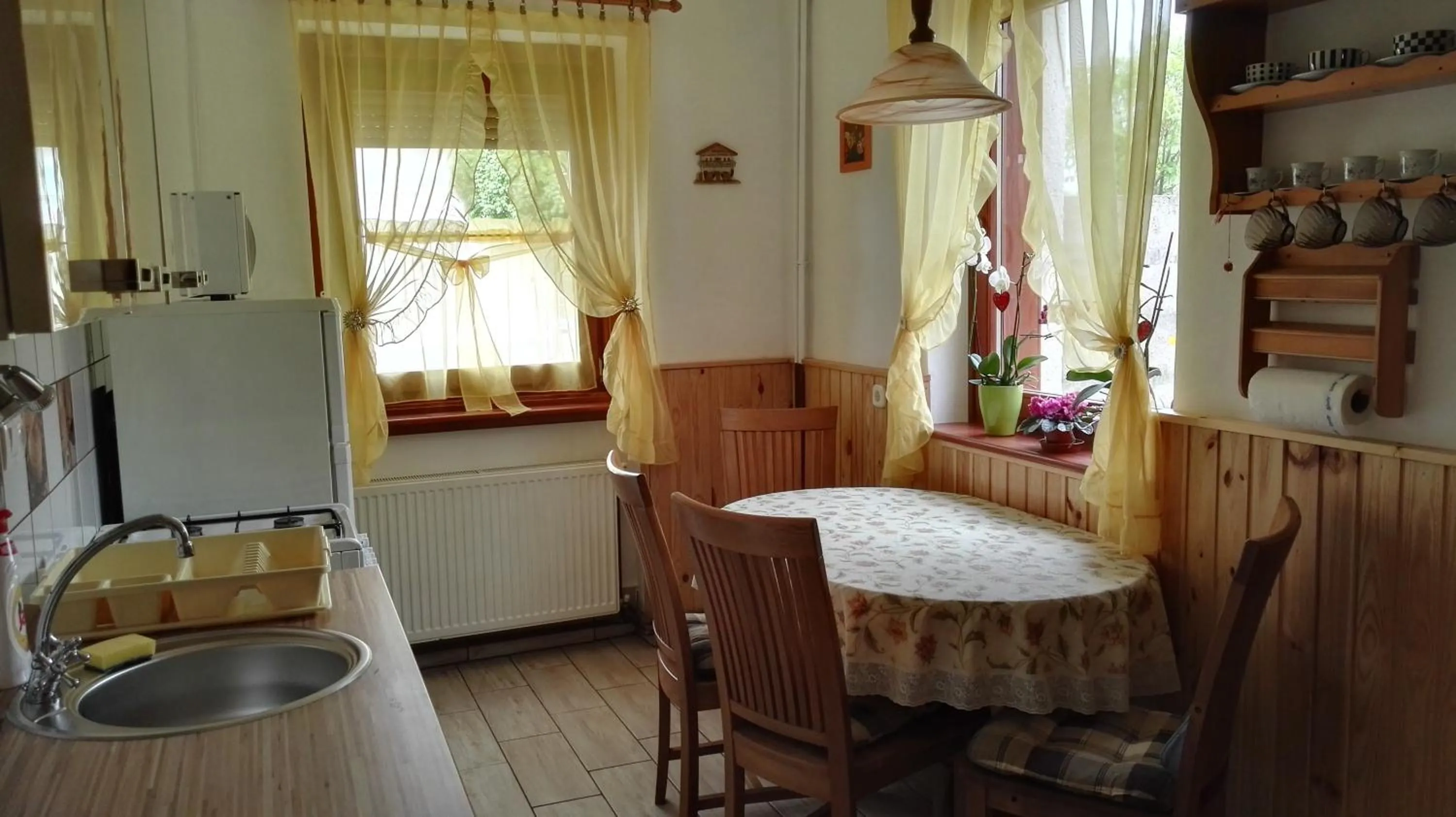 Kitchen or kitchenette in Ágnes Vendégház