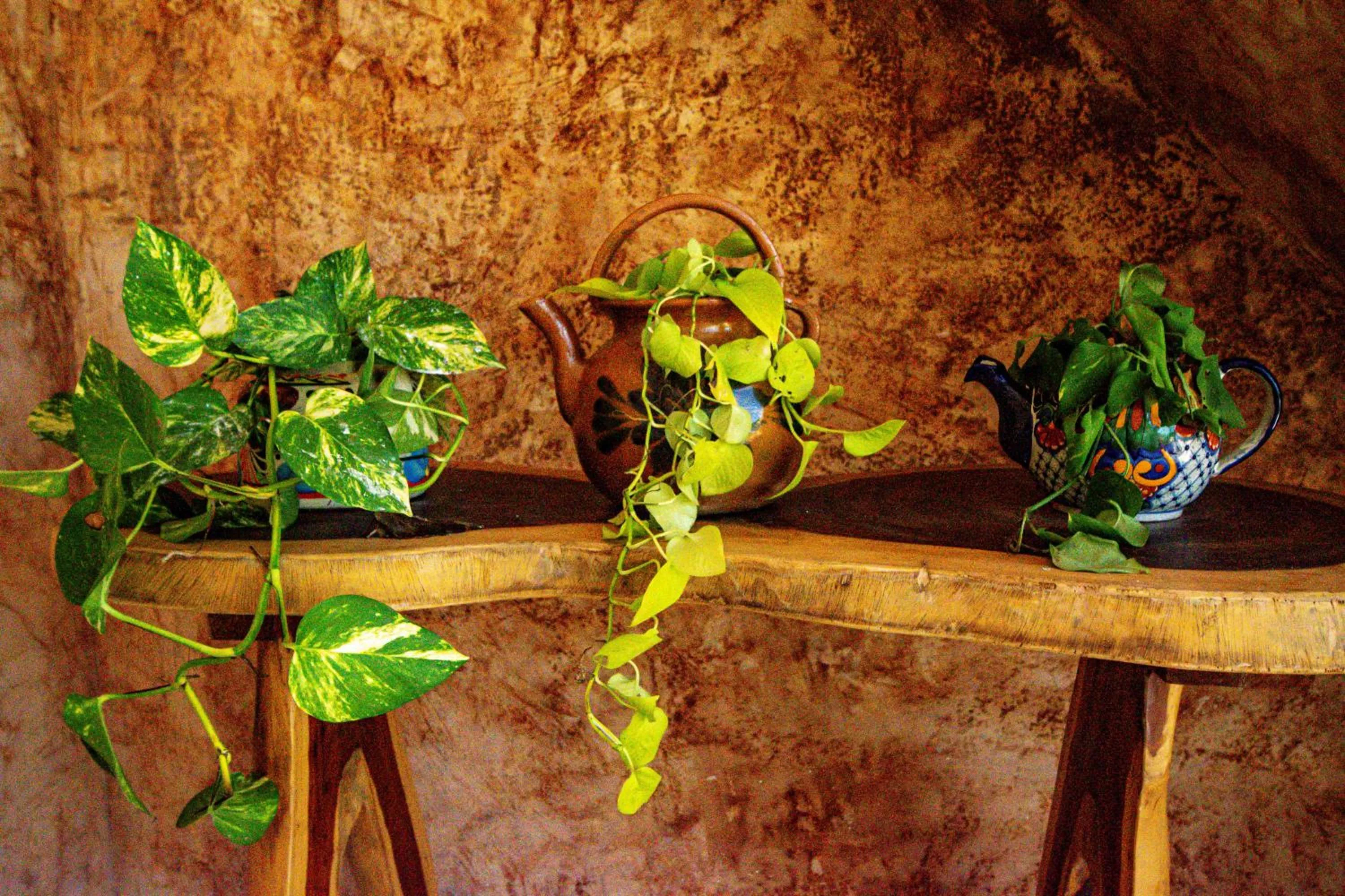 Decorative detail in Hotel Boutique Kiin Wayeb