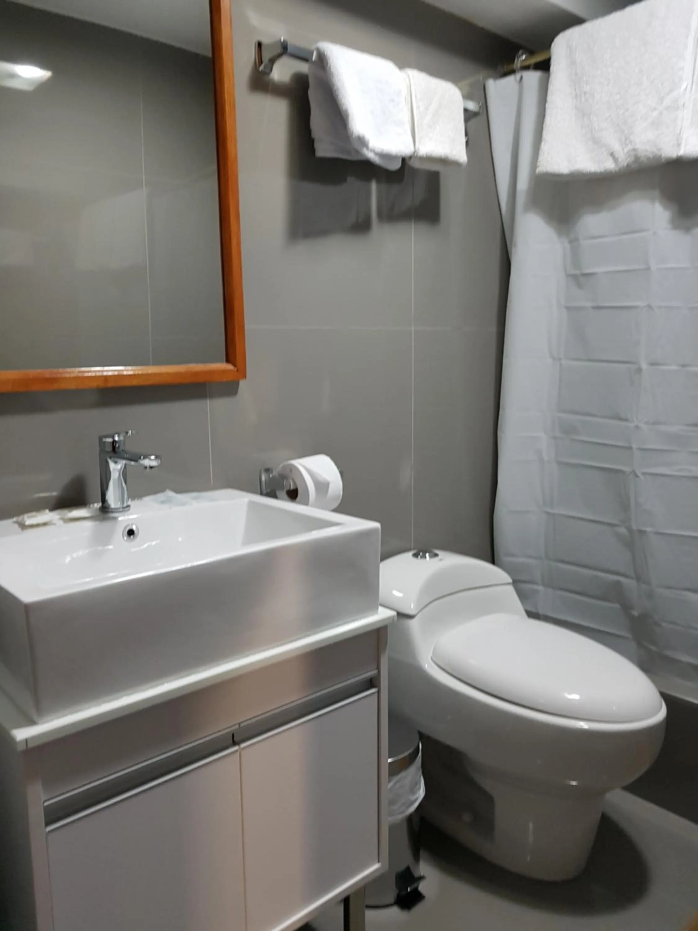 Bathroom in Hotel Santa Cruz