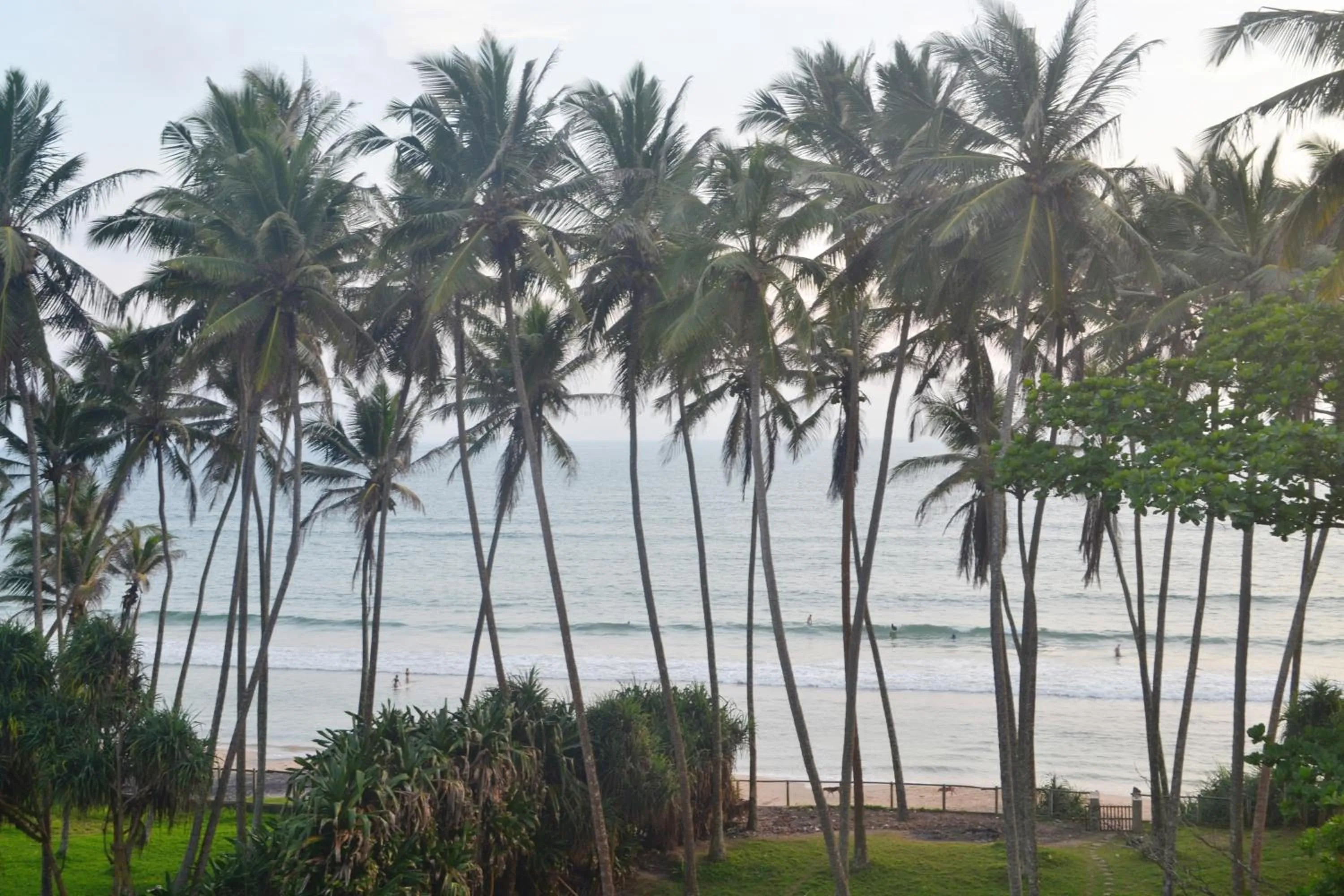 Property building in Surf Lanka Hotel