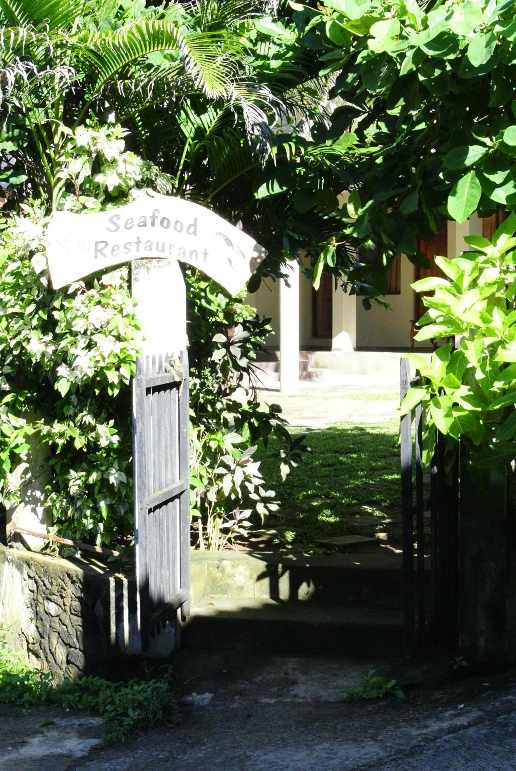 Garden in Surf Lanka Hotel